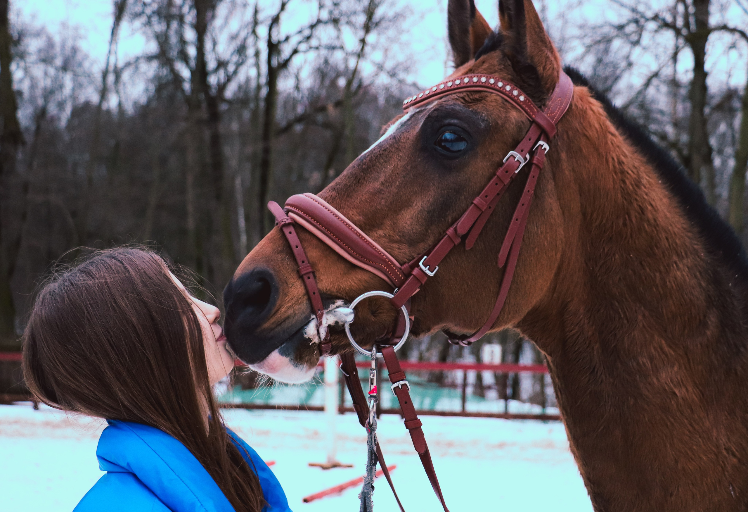 Девочка с конём. Фотограф репортажей и стритфотосессий в Москве Людмила Смирнова