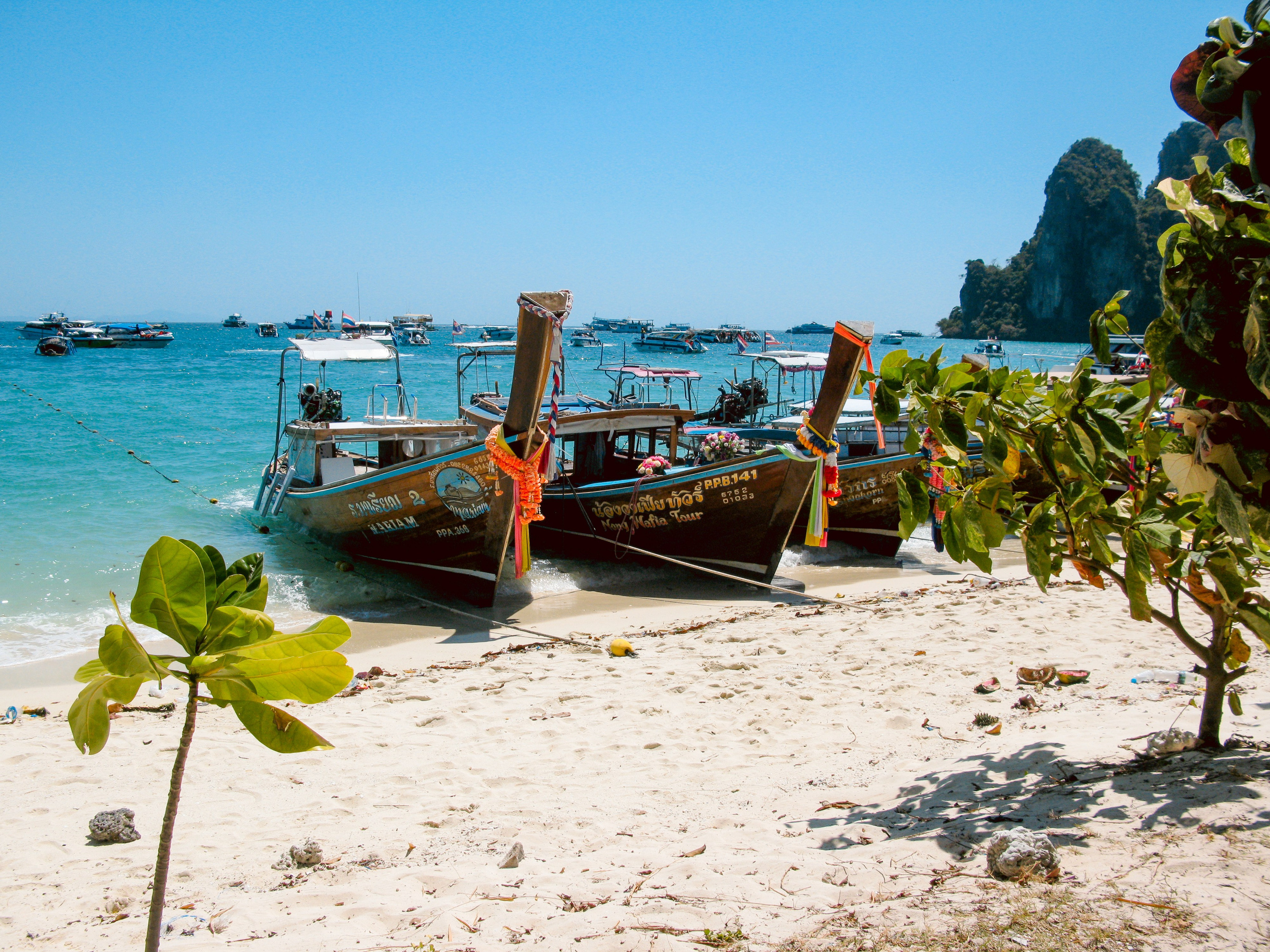 Thai. Фотограф Миланазавр