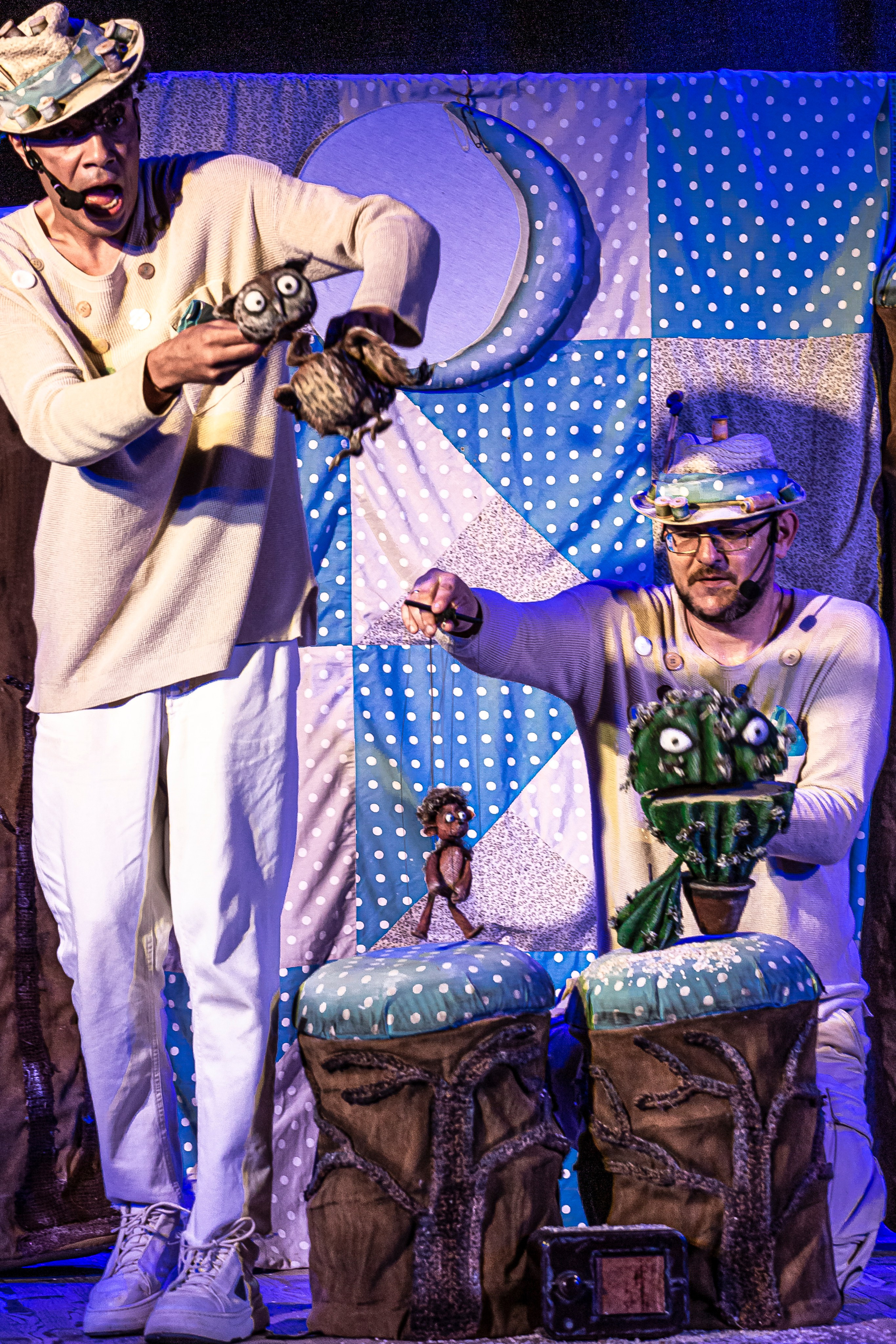 Колючая сказка. Фотограф в Сочи Юрий Шептаев