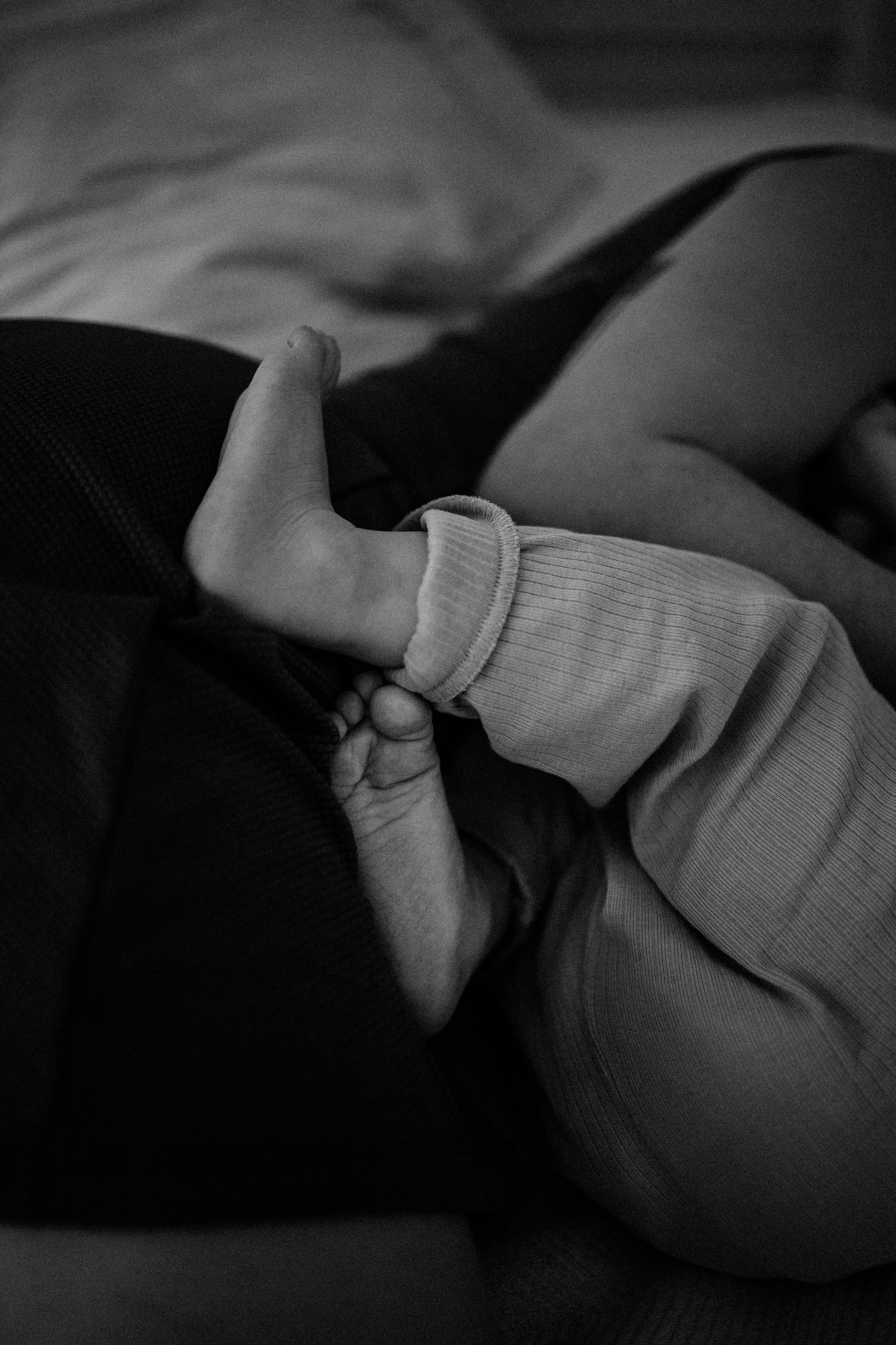 Роза и Артём. Фотограф в Санкт-Петербурге Светлана Арестова