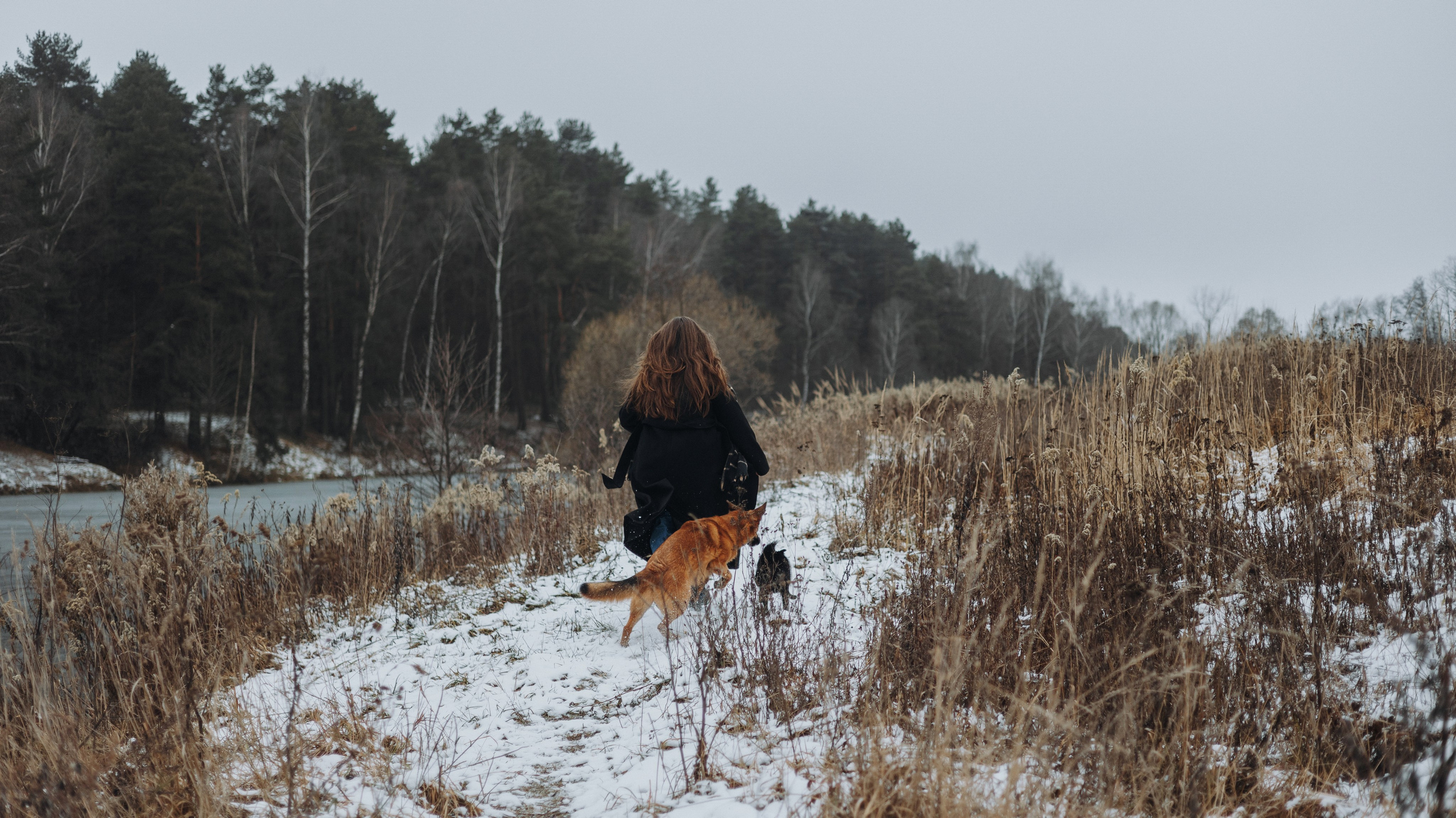 Юля, Лара и Йоми. Фотограф-анималист Богданова Полина