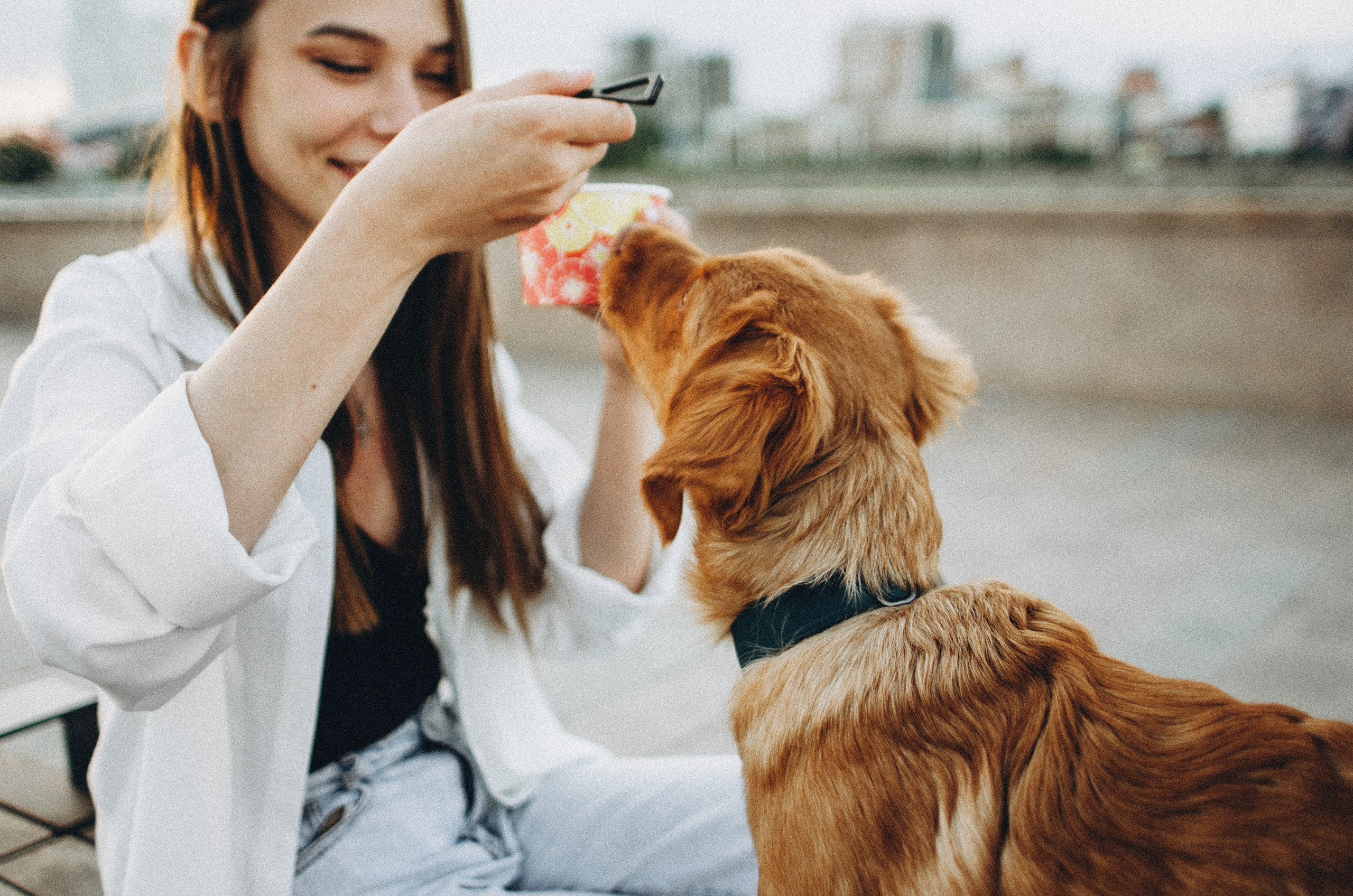 Вика и Хардин. Фотограф-анималист Богданова Полина
