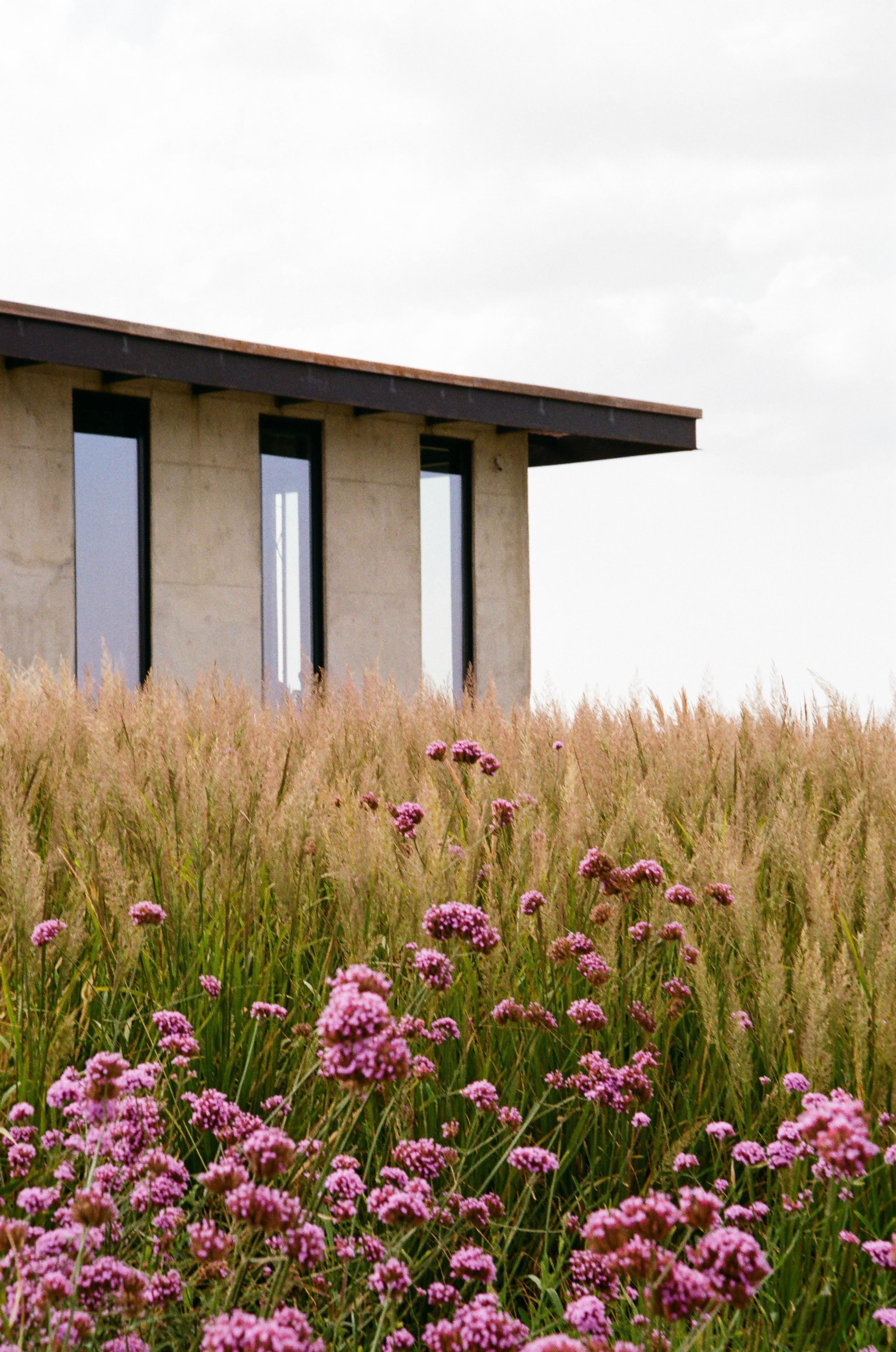 Gai-Kodzor Winery Landscape. Ekaterina Symidi. Interior Photographer