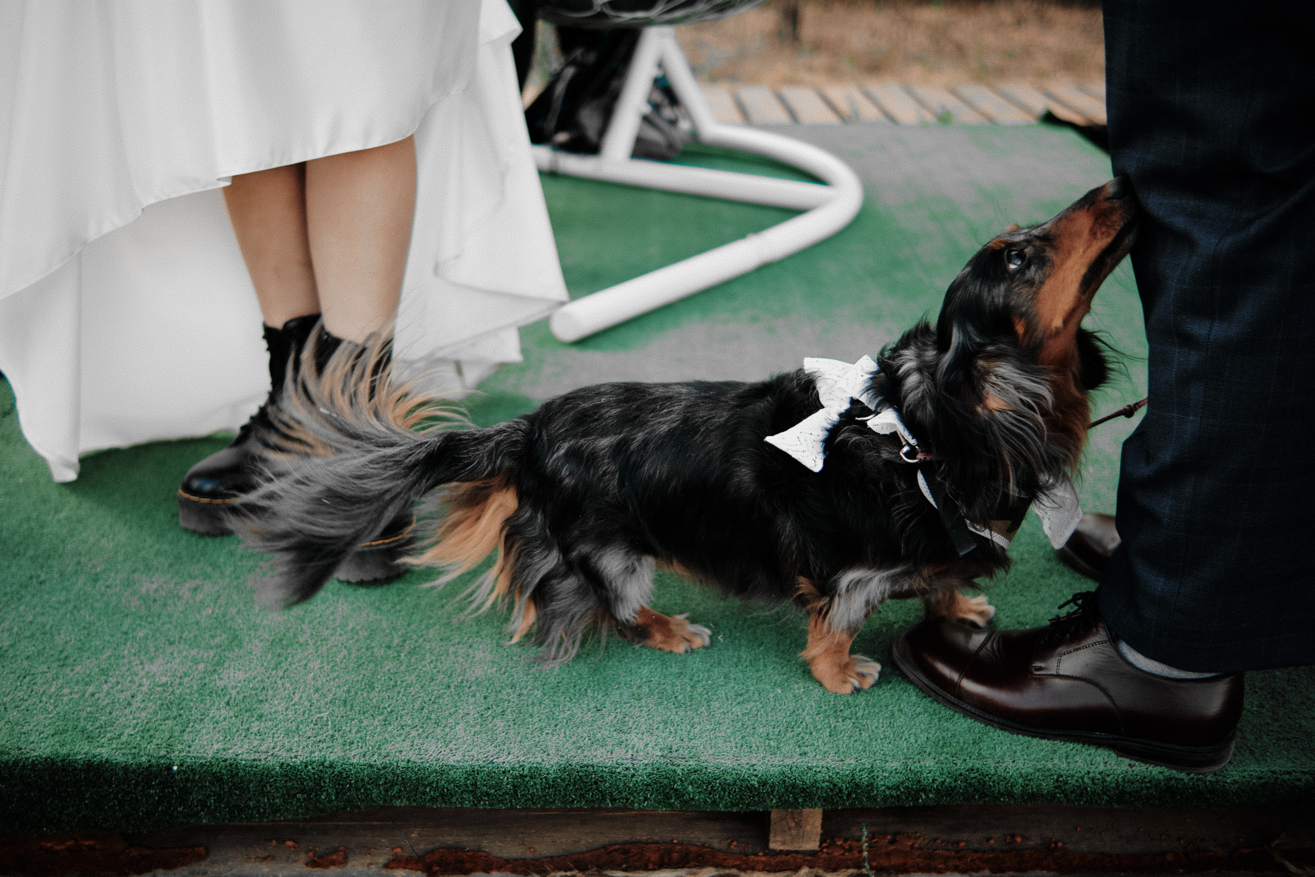 Безбашенные. Свадебный и семейный фотограф в Оренбурге и не только Вадим Славкин