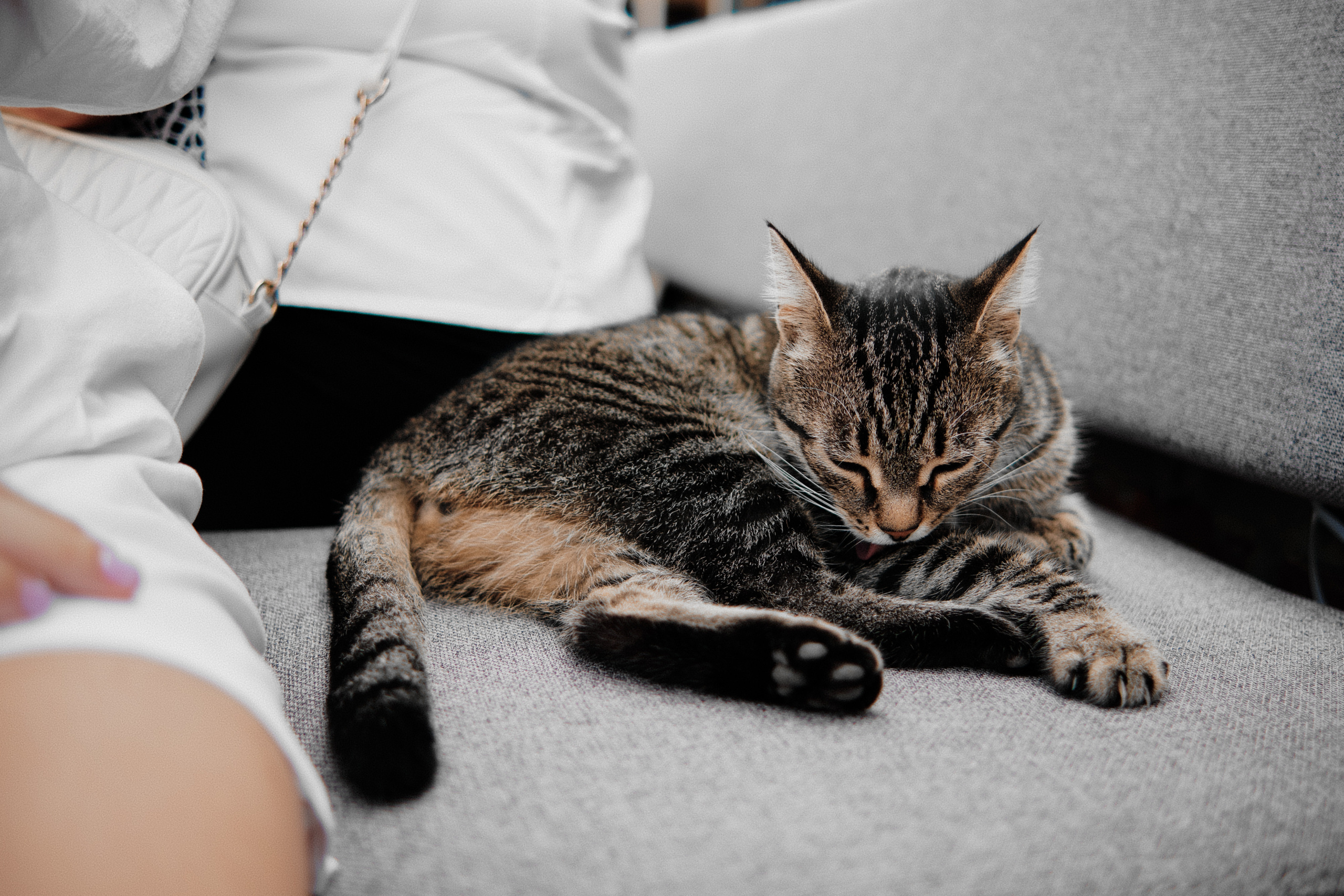 Петр и Саша. Свадебный и семейный фотограф в Оренбурге и не только Вадим Славкин