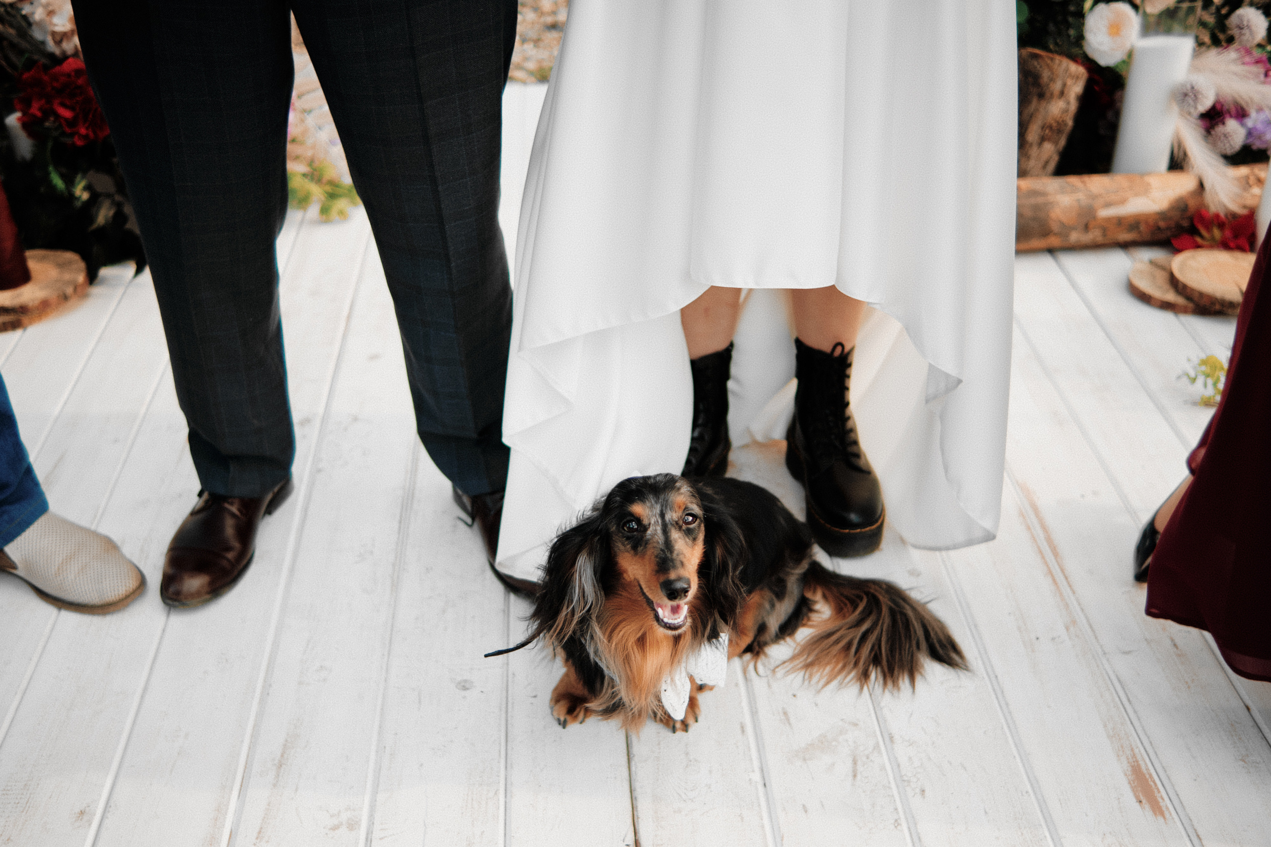Безбашенные. Свадебный и семейный фотограф в Оренбурге и не только Вадим Славкин