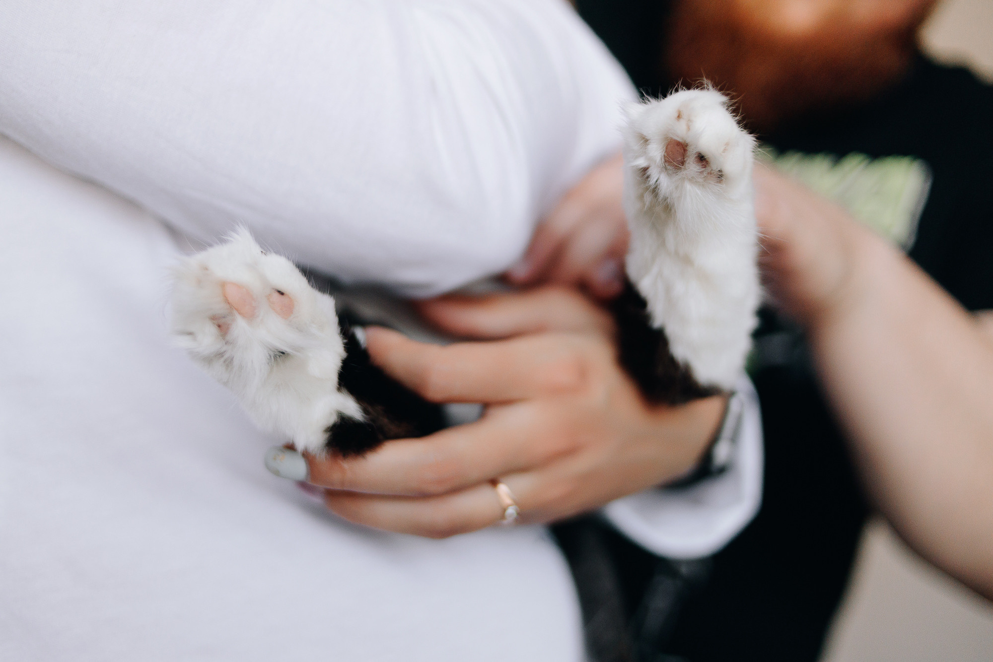 Анжелика и Никита. Свадебный и семейный фотограф в Оренбурге и не только Вадим Славкин
