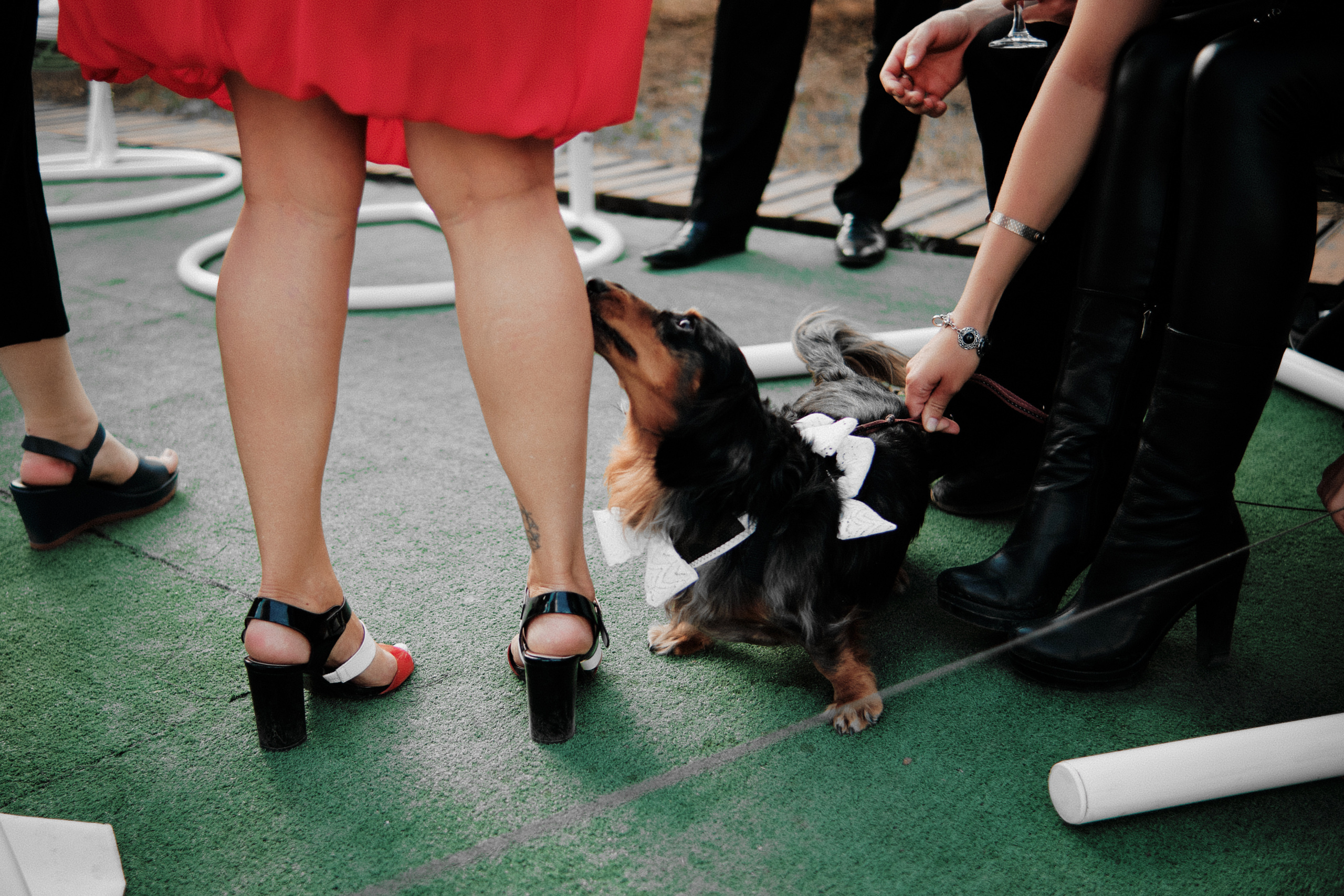 Безбашенные. Свадебный и семейный фотограф в Оренбурге и не только Вадим Славкин