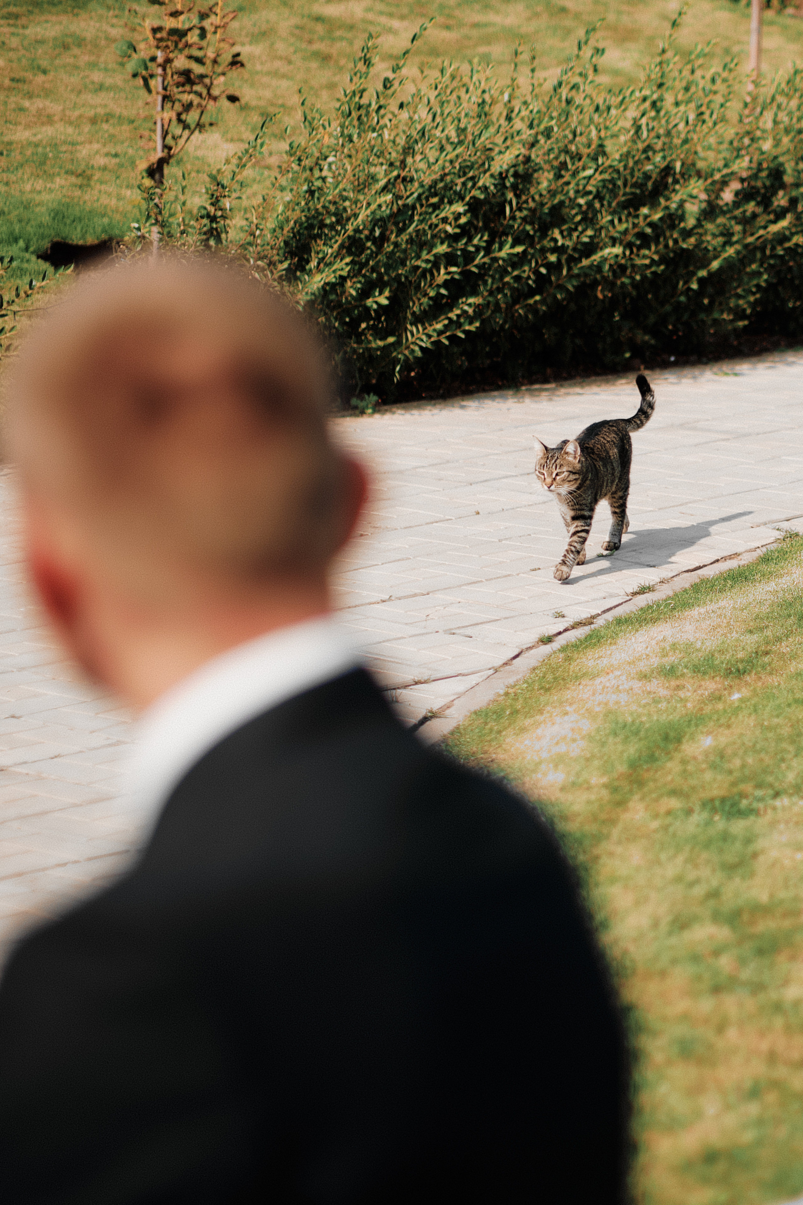 Петр и Саша. Свадебный и семейный фотограф в Оренбурге и не только Вадим Славкин