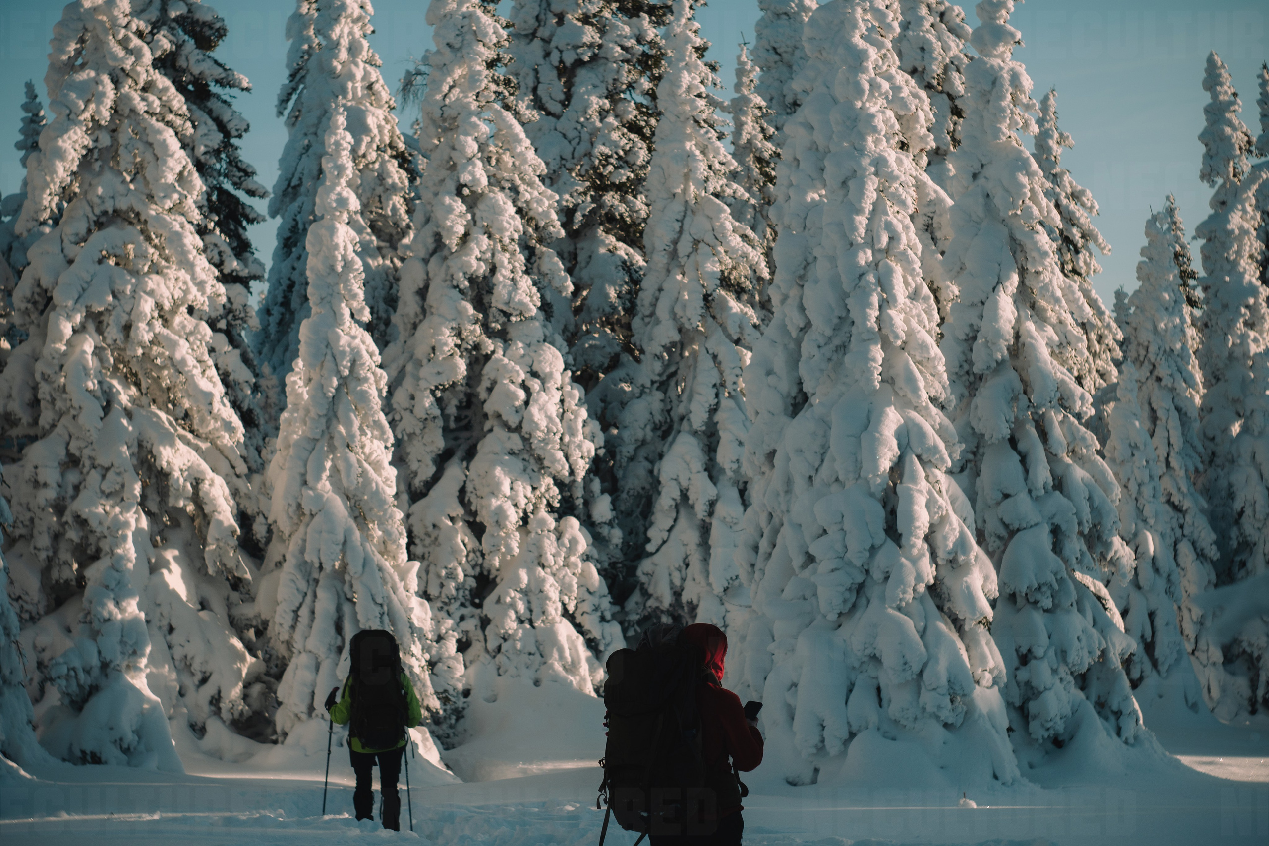 Фотосессии в путешествии. Пленочный фотограф в Москве | Necultured