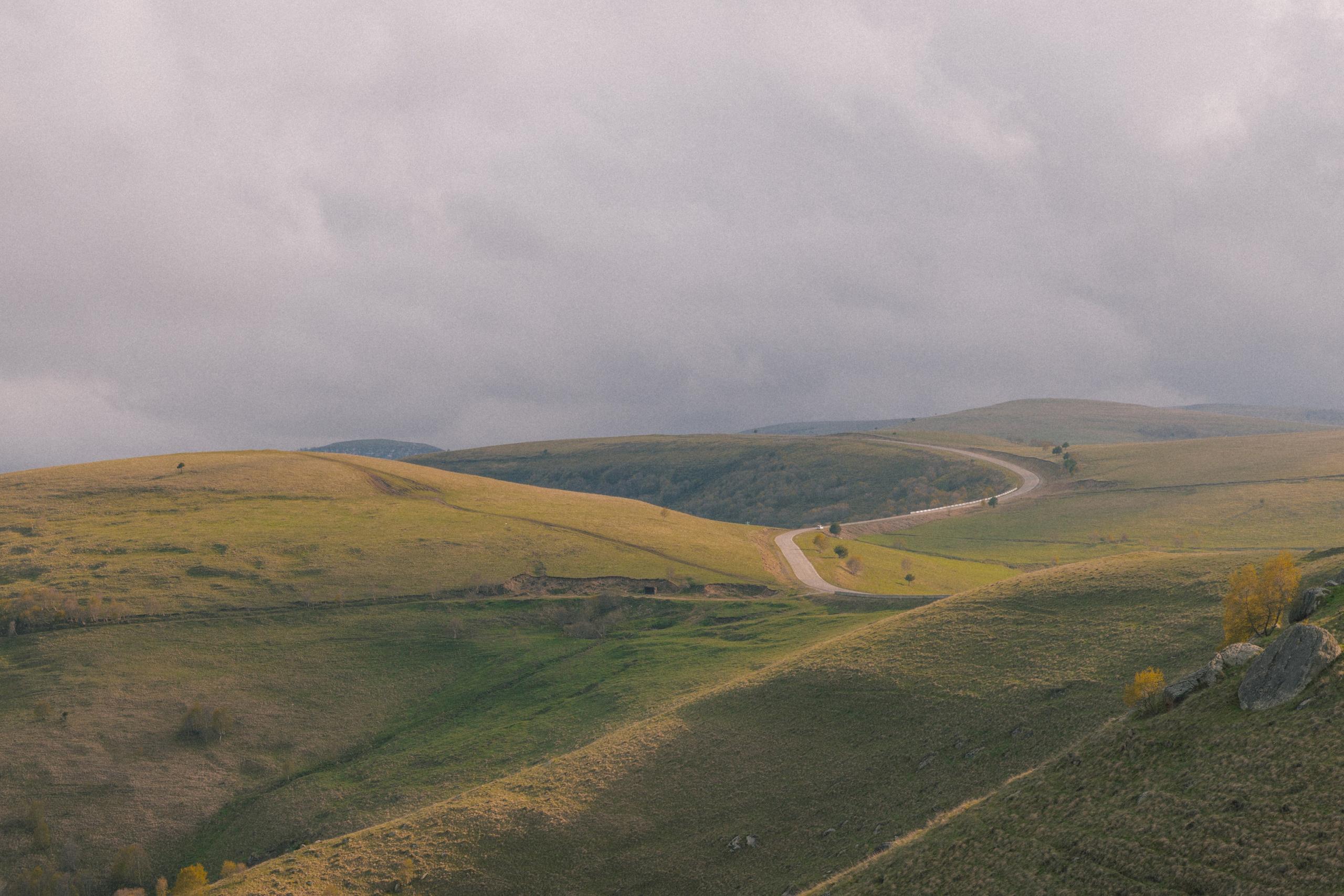 Ксюша и Никита. Фотограф Краснодар Юлия Бураченко Свадьбы Репортаж Семейные Индивидуальные съемки