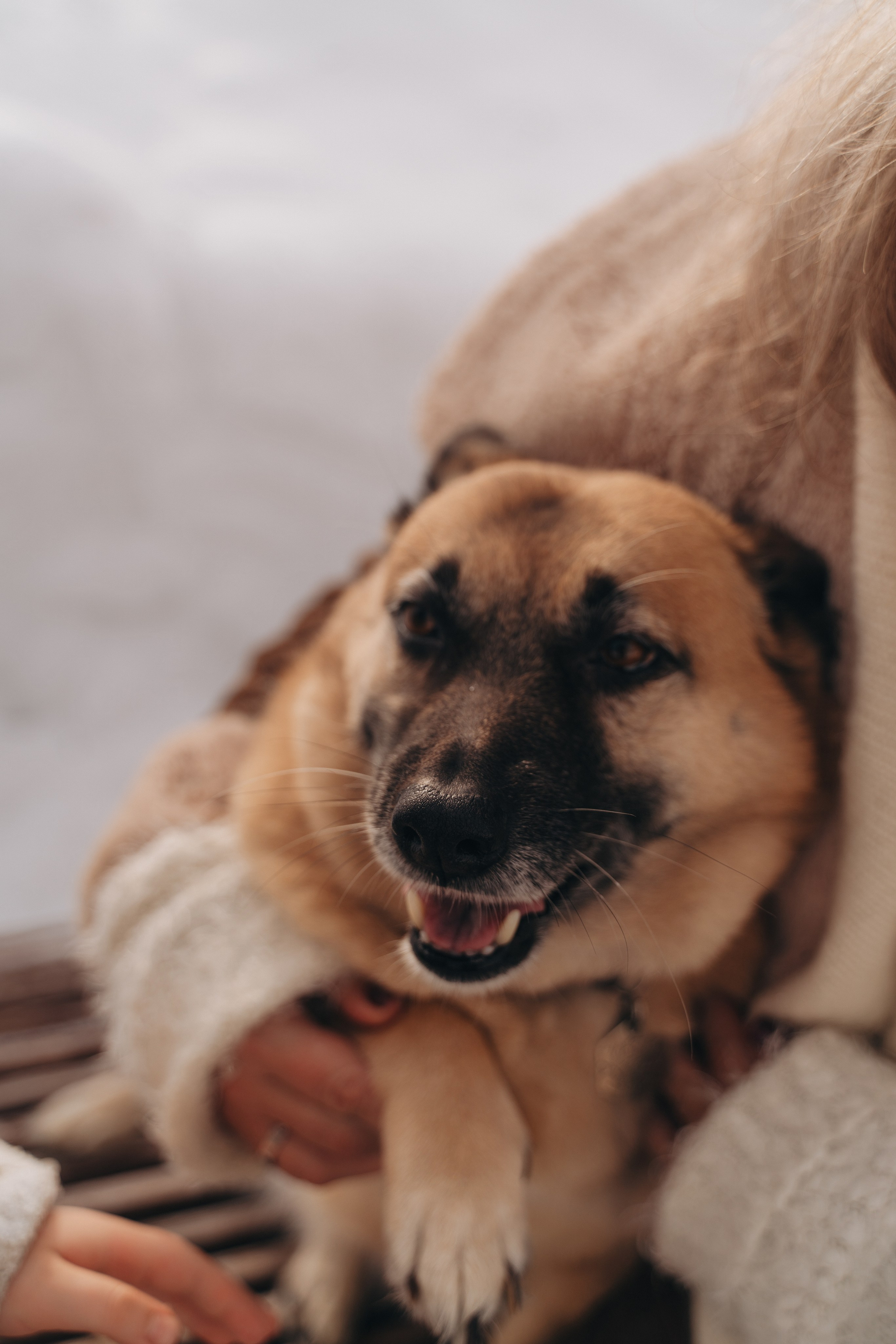 Февраль с Мартой 💞. FotoTanya. Раменское/Жуковский/Бронницы