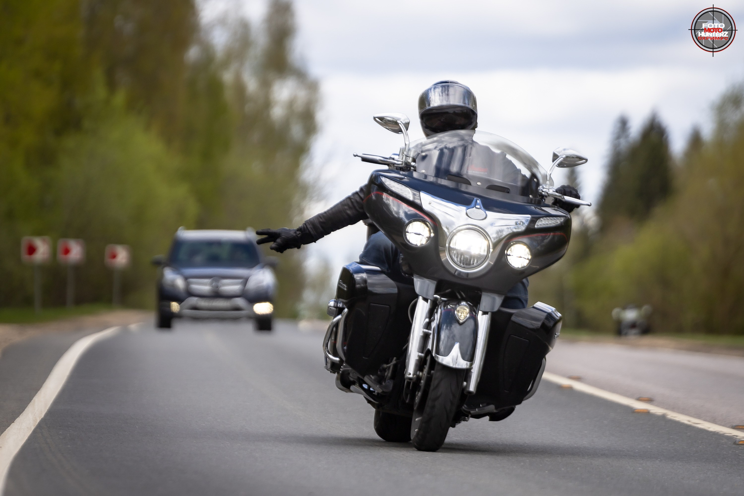 Первое Сафари в 2025 г. на Рогачевском ш. Фотограф Владимир Охрименко