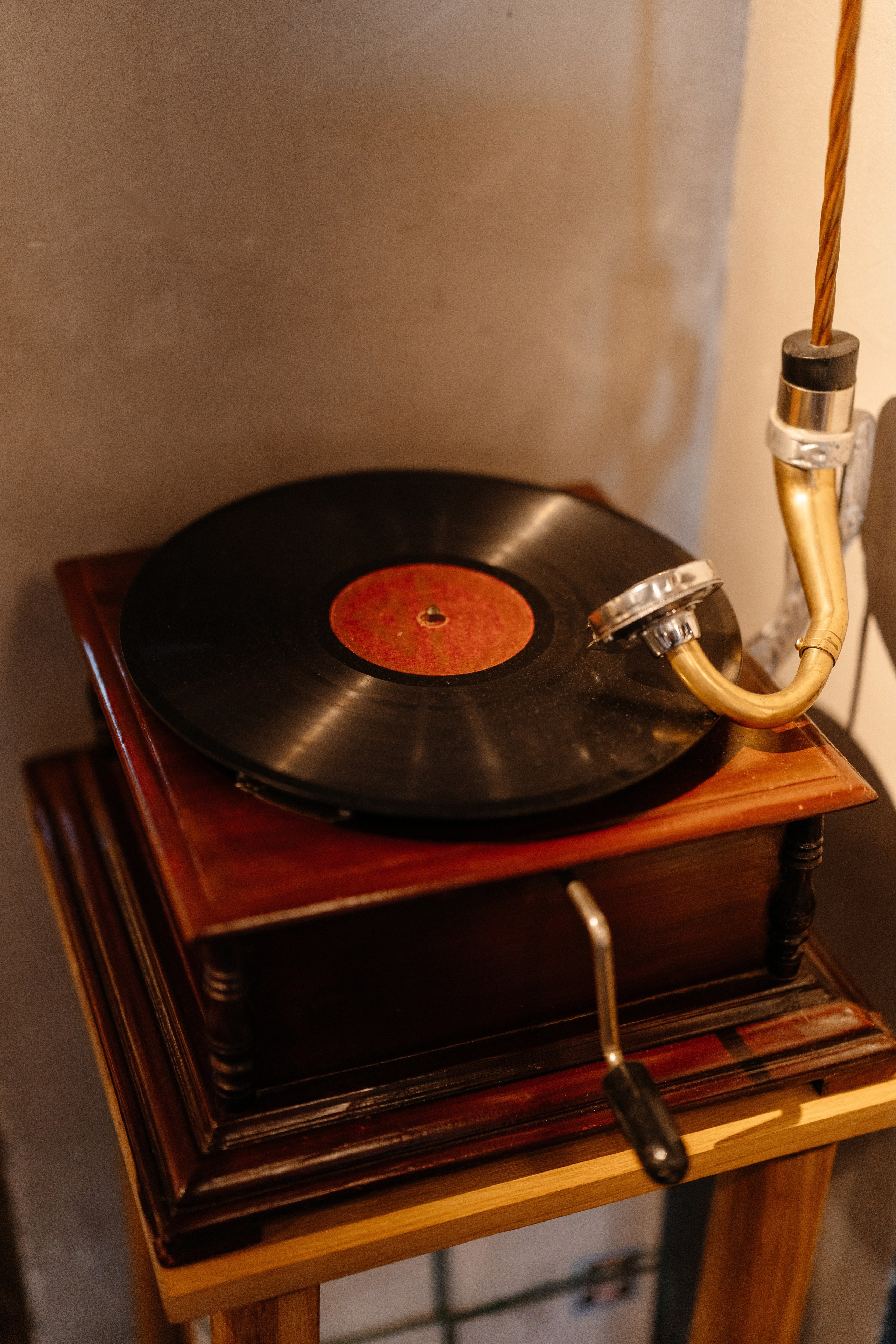 ГастроБистро Цирк. Свадебный и репортажный фотограф в Москве Андрей Вайман