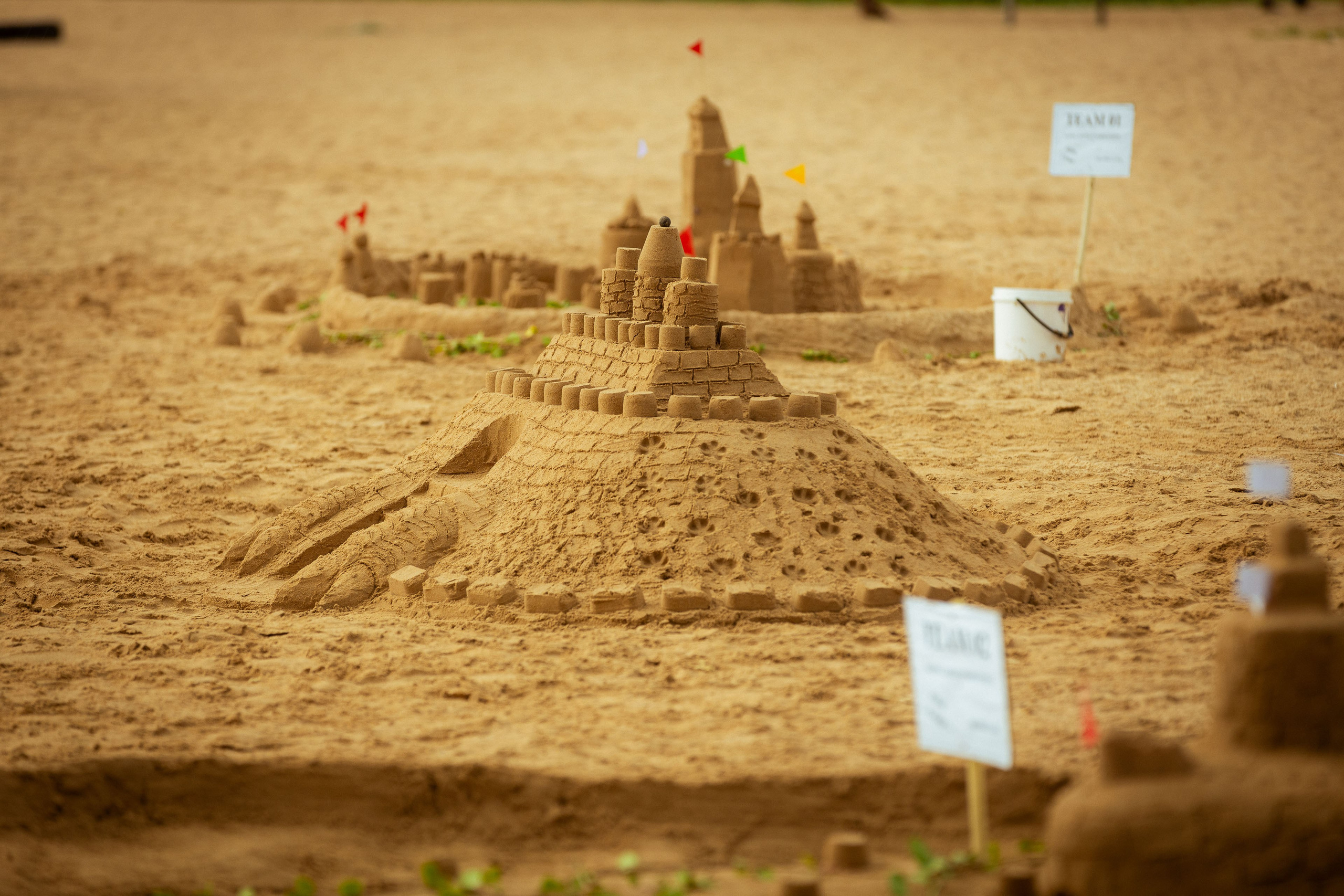 Шри-Ланка (весна 2024). Фотограф Виноградов Константин