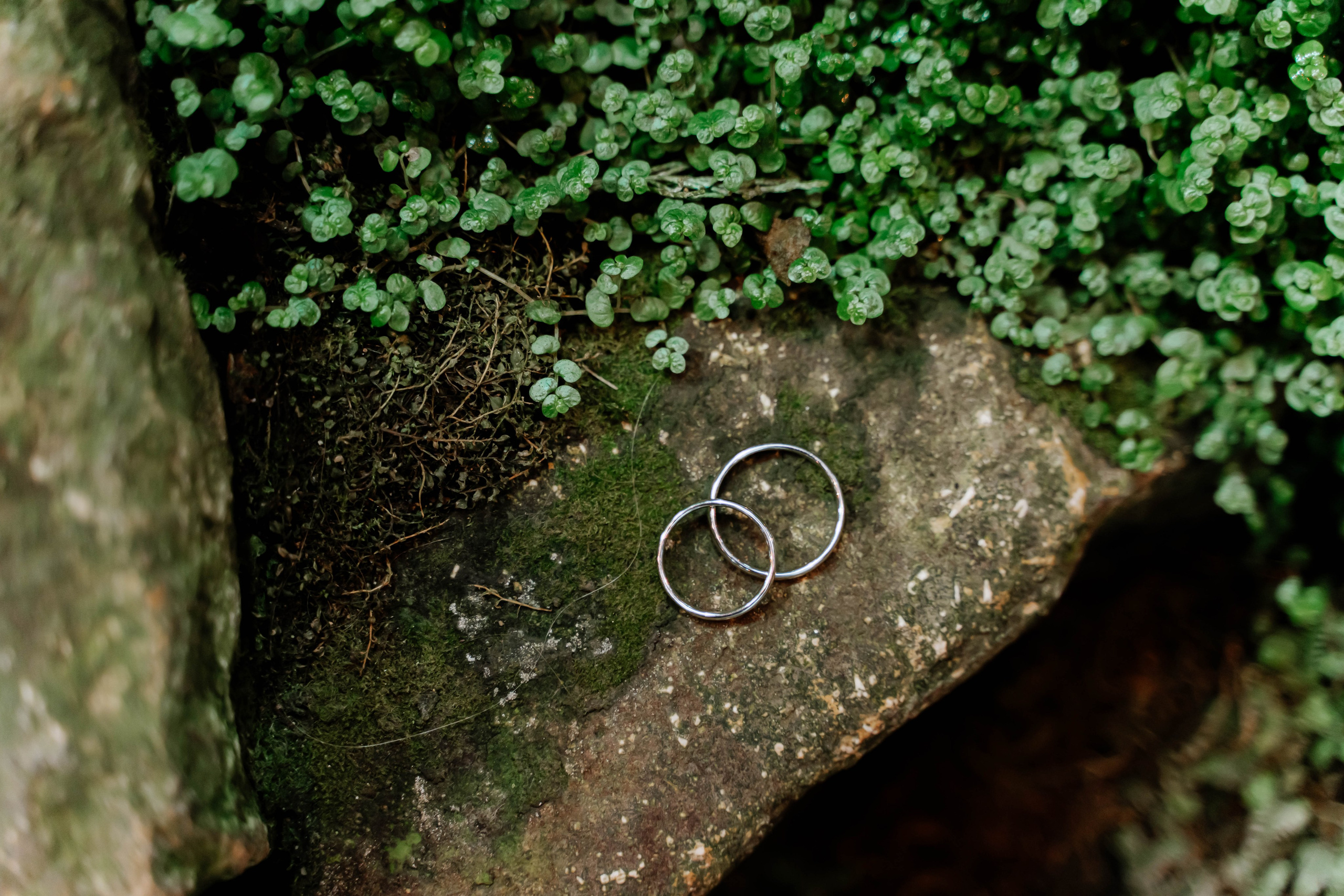 Александр и Анастасия. Фотограф Елизавета Савина