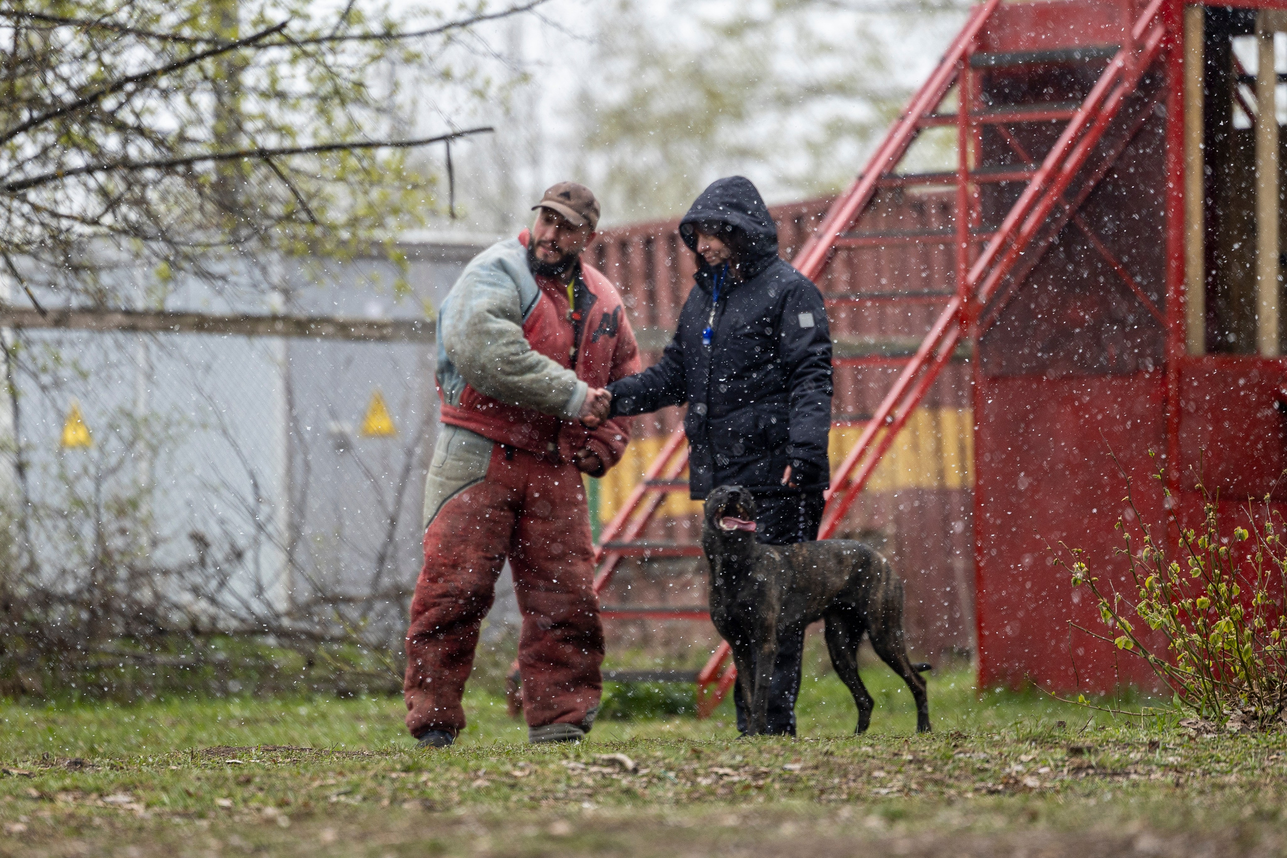 Квалификационные состязания по мондьорингу г. Вологда 11.05.24. Фотограф-анималист Анна Маринич