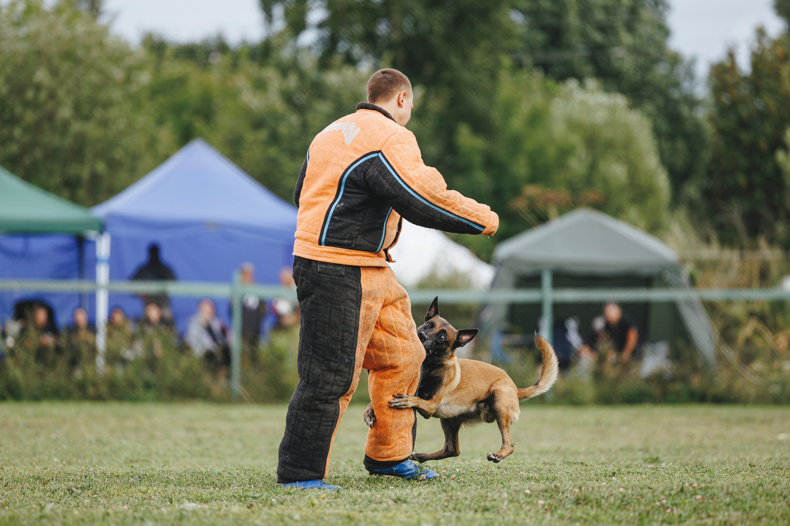 08.08.25-10.08.25 ЧР по мондьорингу г. Вологда. Фотограф-анималист Анна Маринич