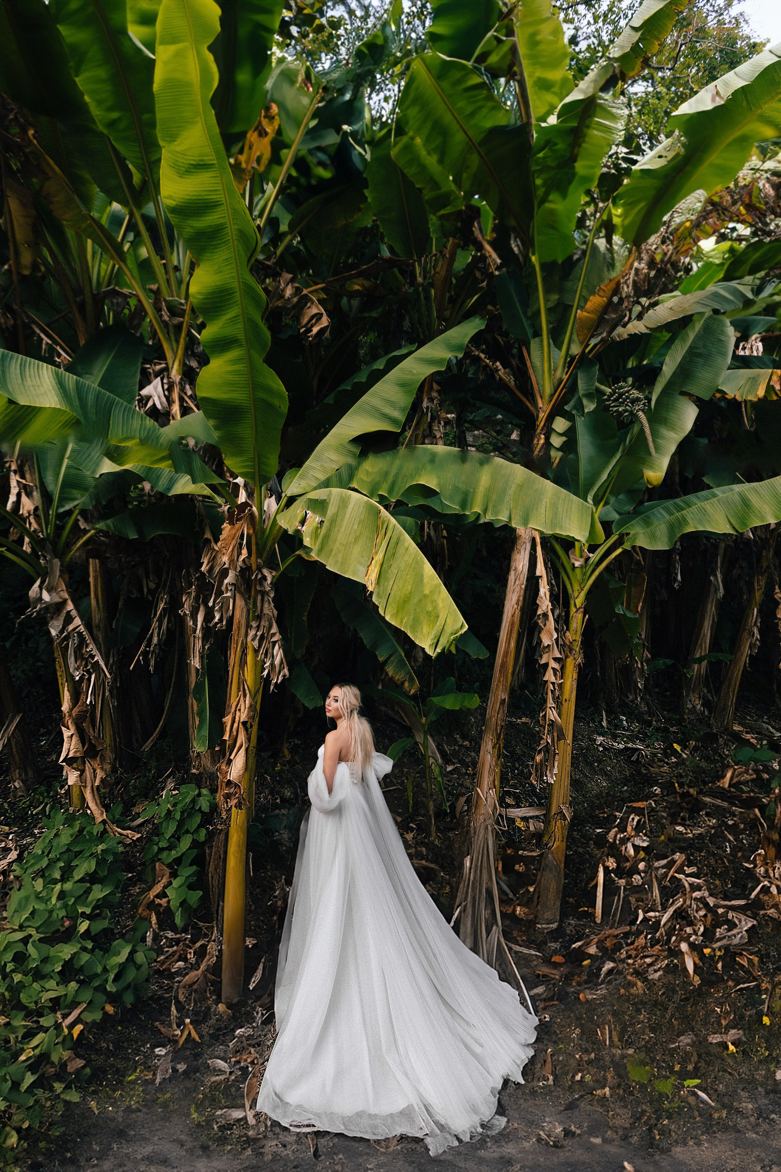 Организуем свадьбу в Абхазии на море или в горах. Свадебный фотограф в Абхазии, Сухум, Гагра, Сочи