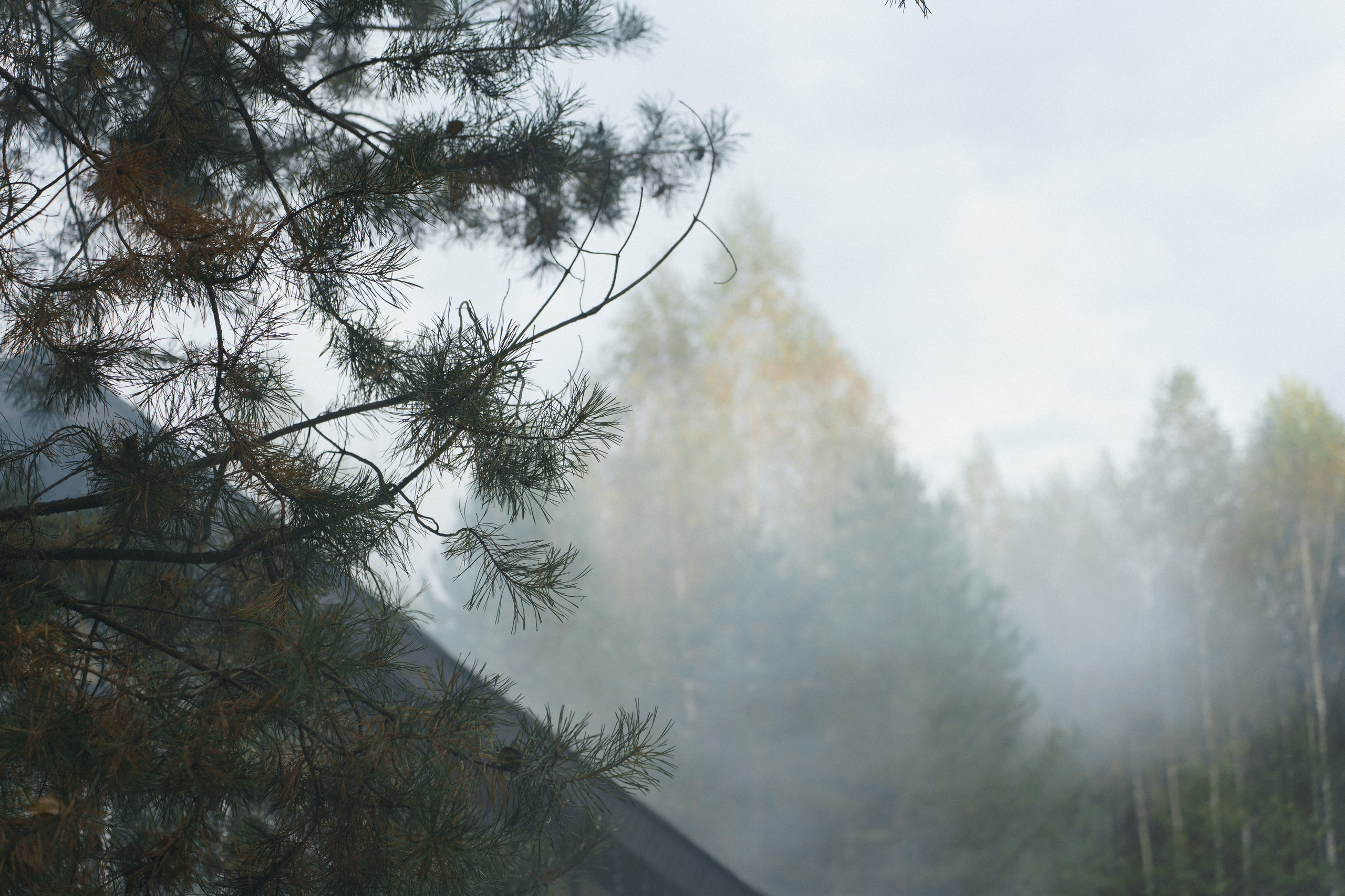 Ксения и Дмитрий. Свадебный и семейный фотограф Кокушева Юлия Нижний Новгород