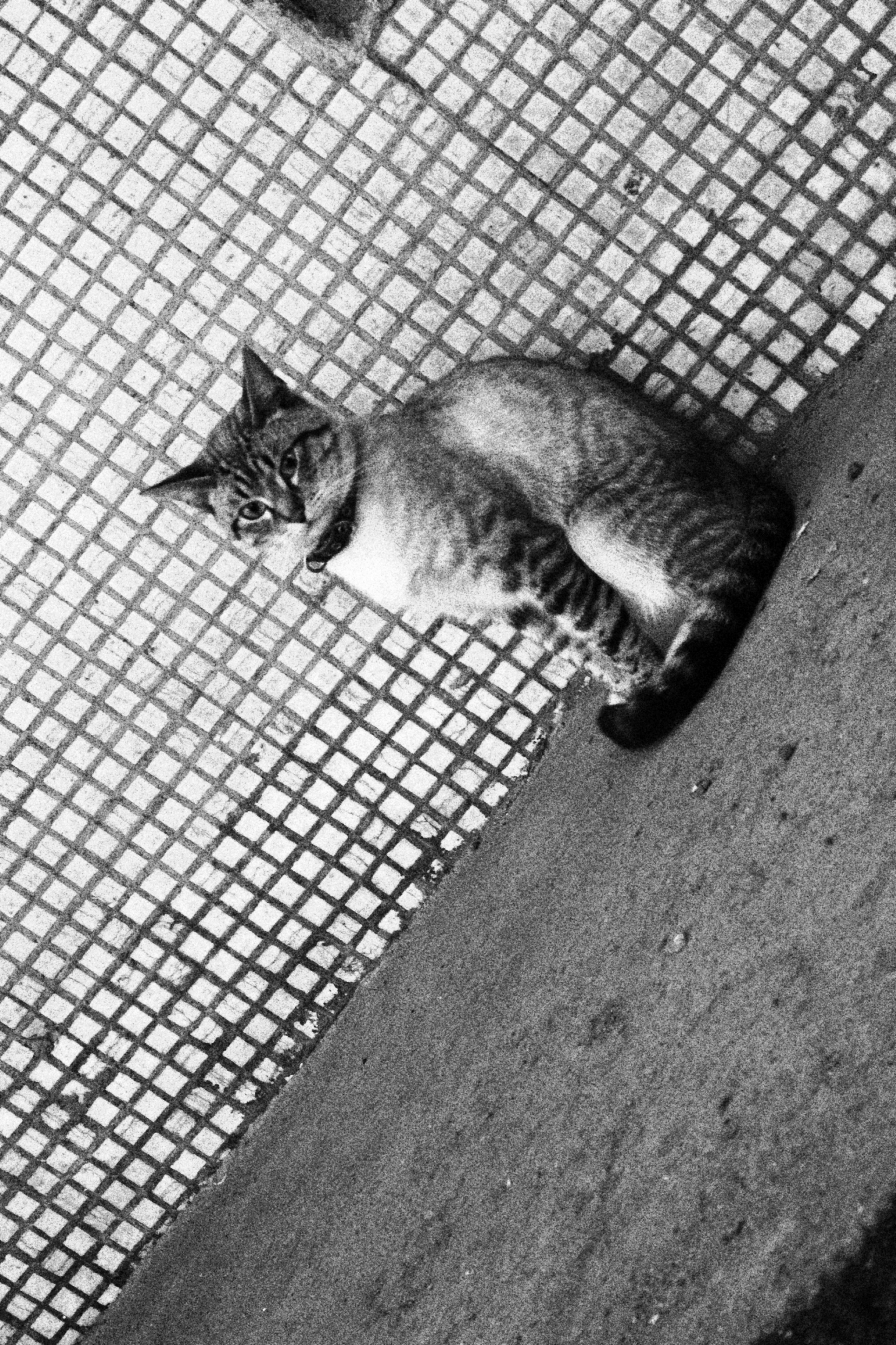 Всё, что я вижу вокруг себя