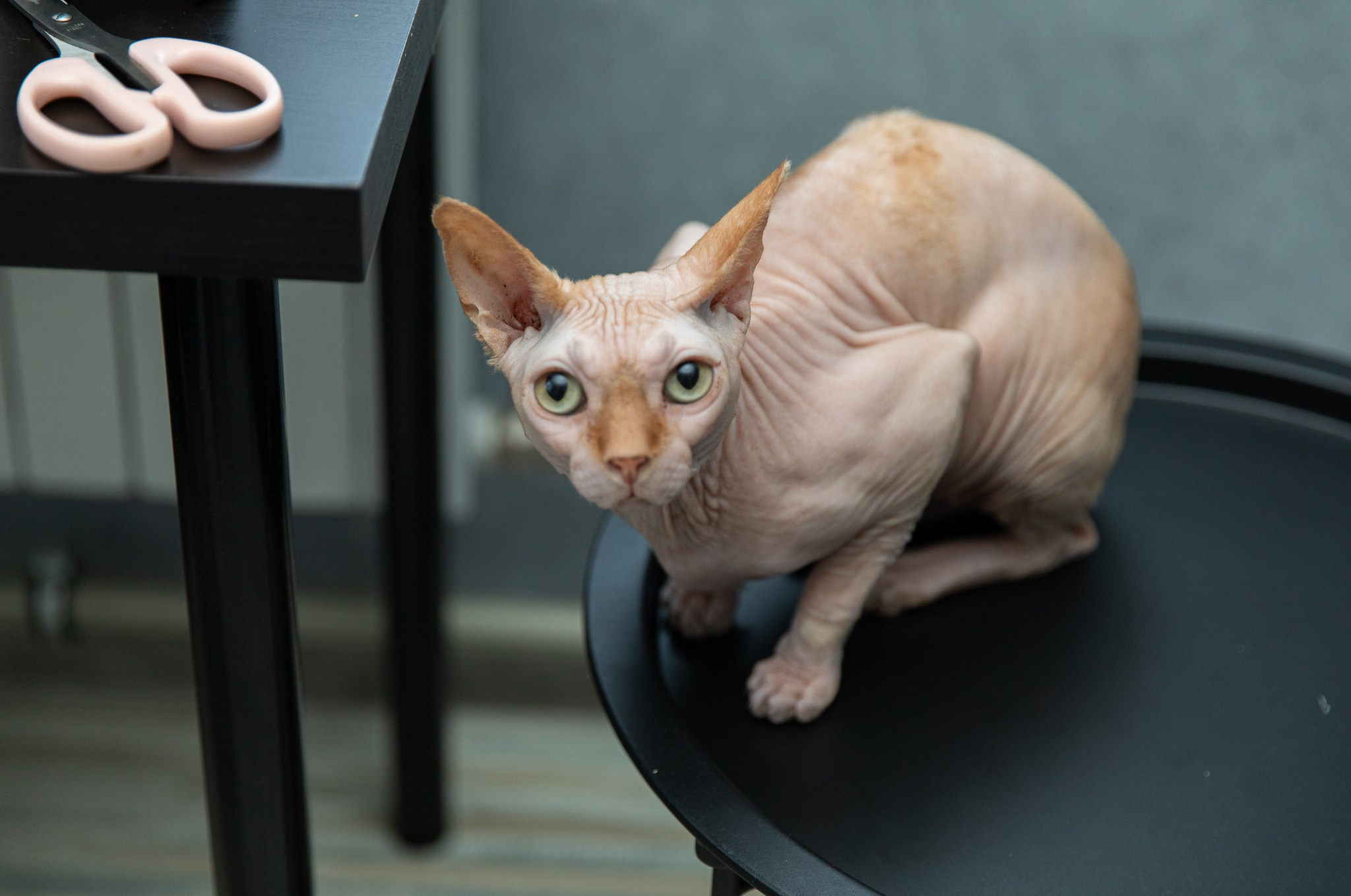 День рождения Виолетты 12 лет. Фотограф Татьяна Генева