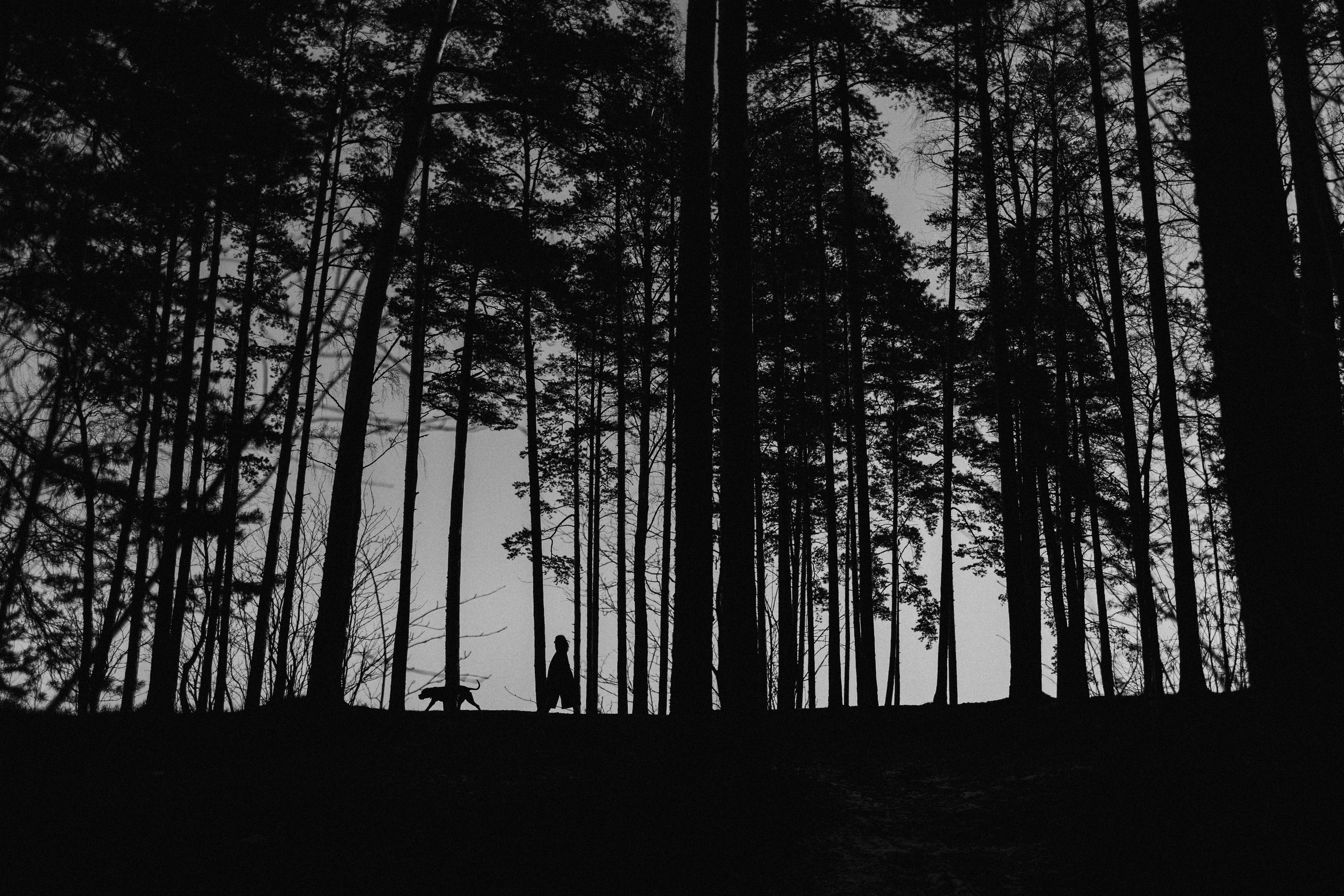 Анна и Лана. Фотограф — Анималист | Санкт-Петербург