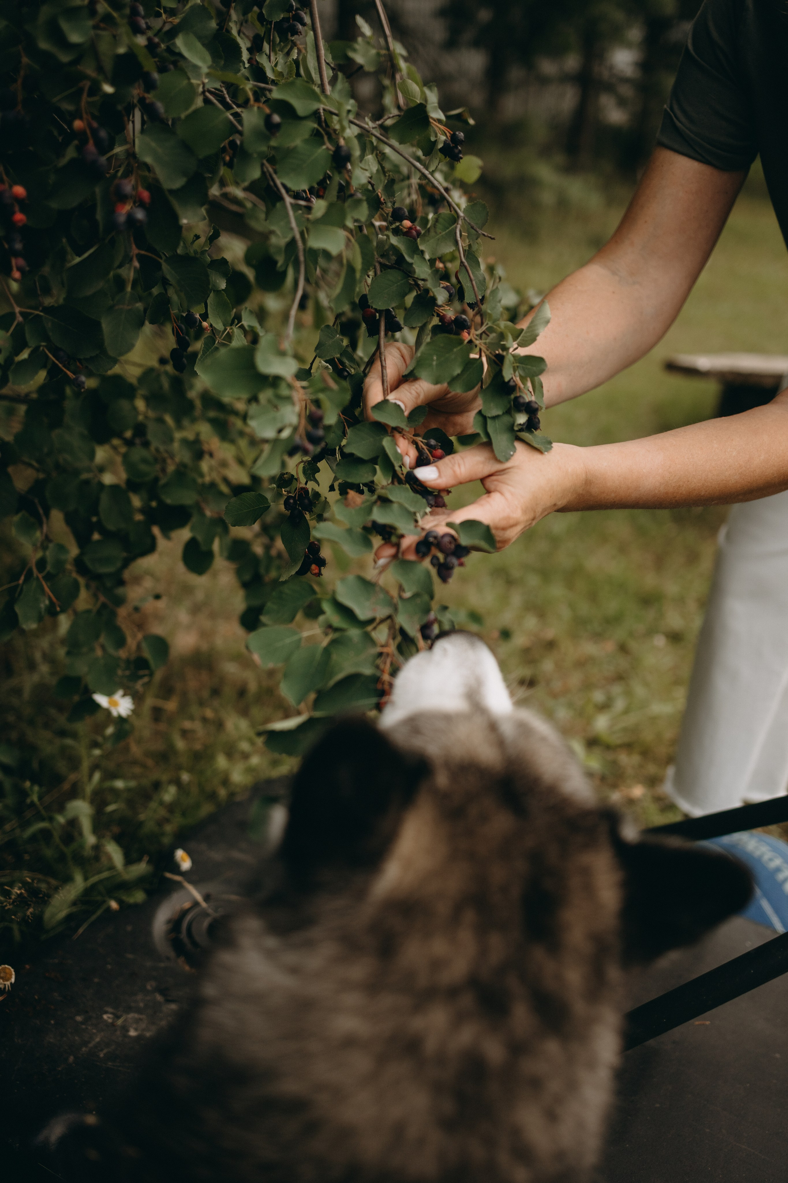 Дом у реки. Фотограф — Анималист | Санкт-Петербург