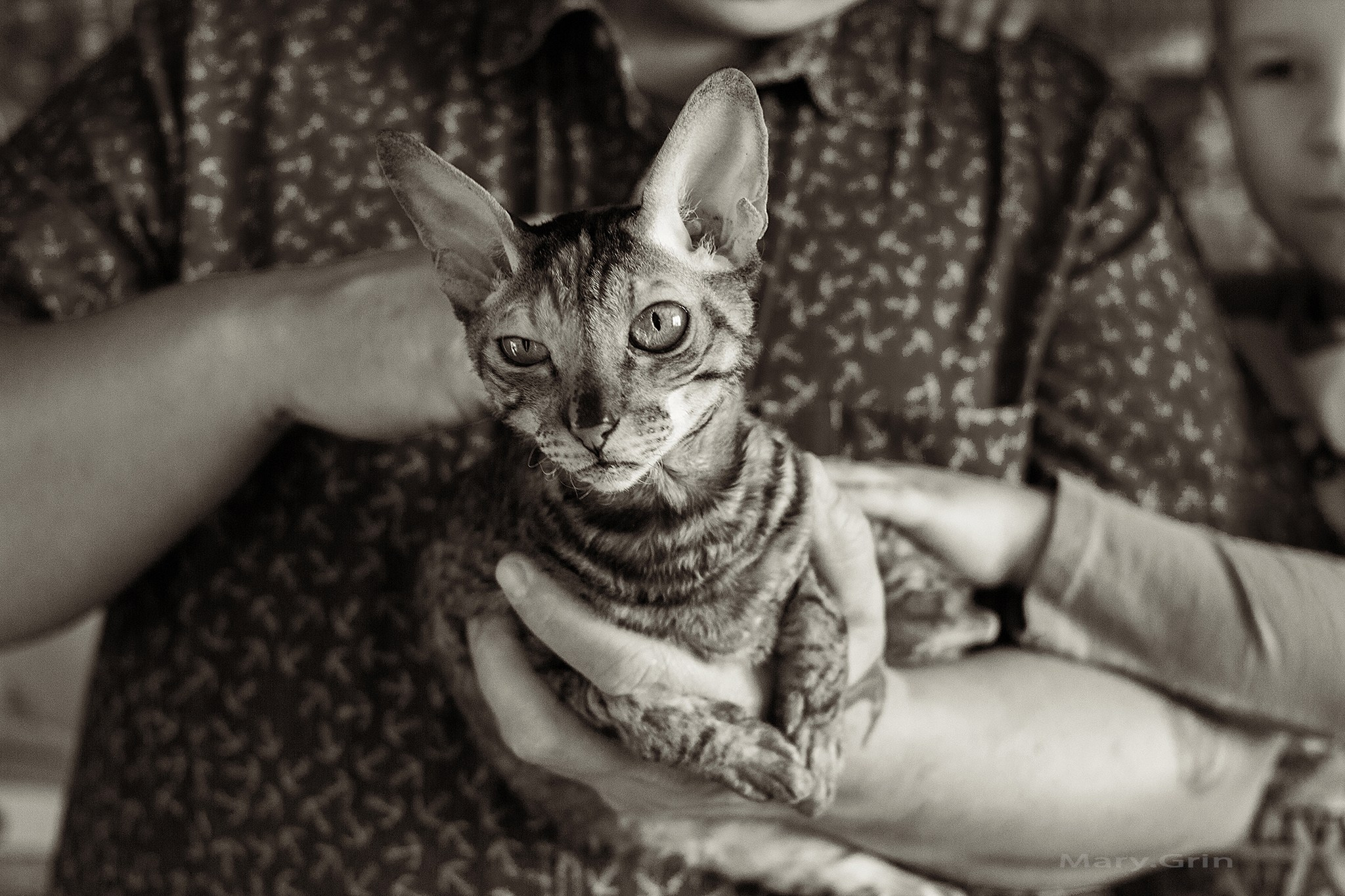 Вне времени. Детский и семейный фотограф, фотограф мероприятий Нижний Новгород