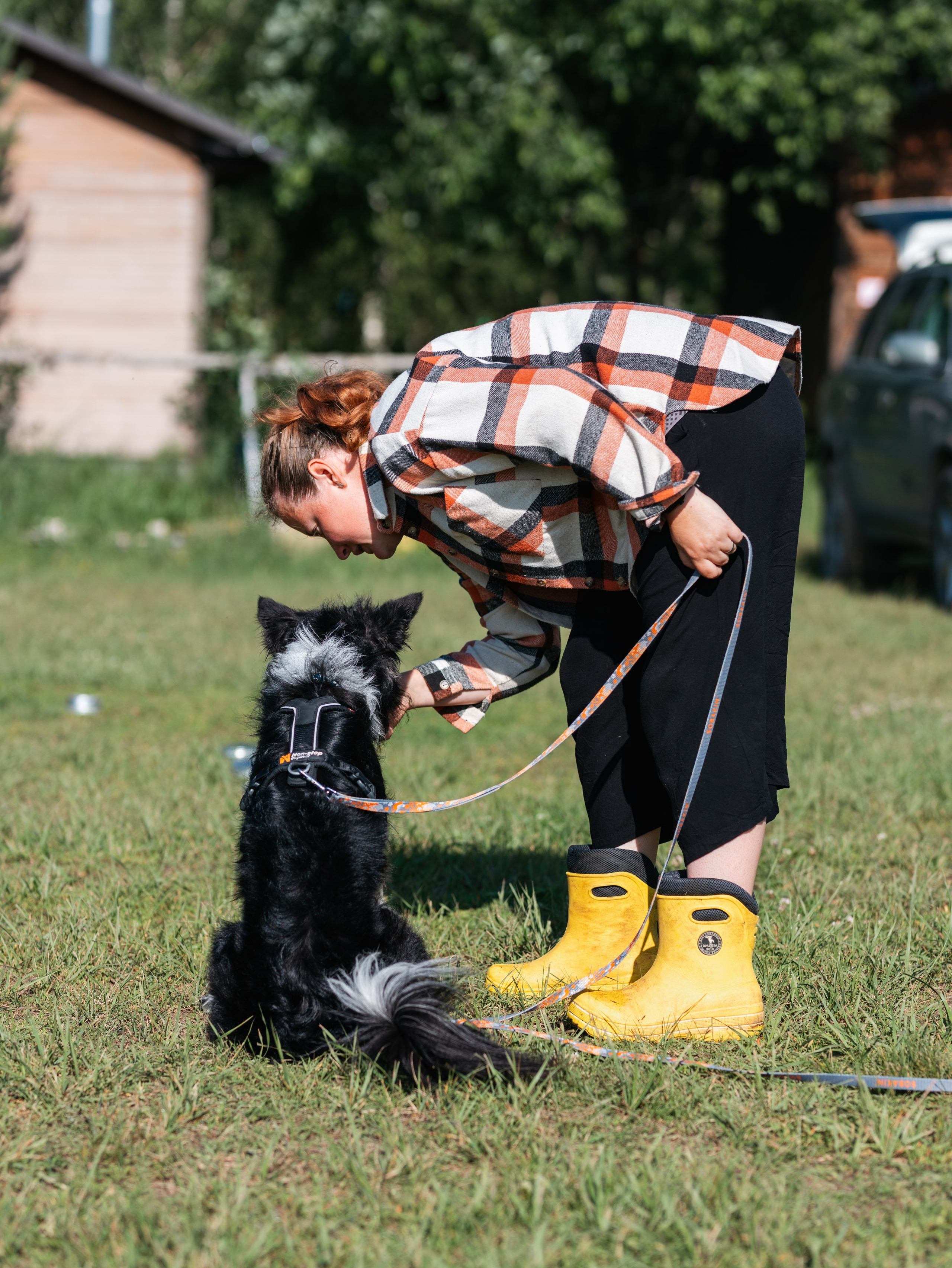 Лагерь ноузворк. Фотограф-анималист в Москве Кириллова Татьяна