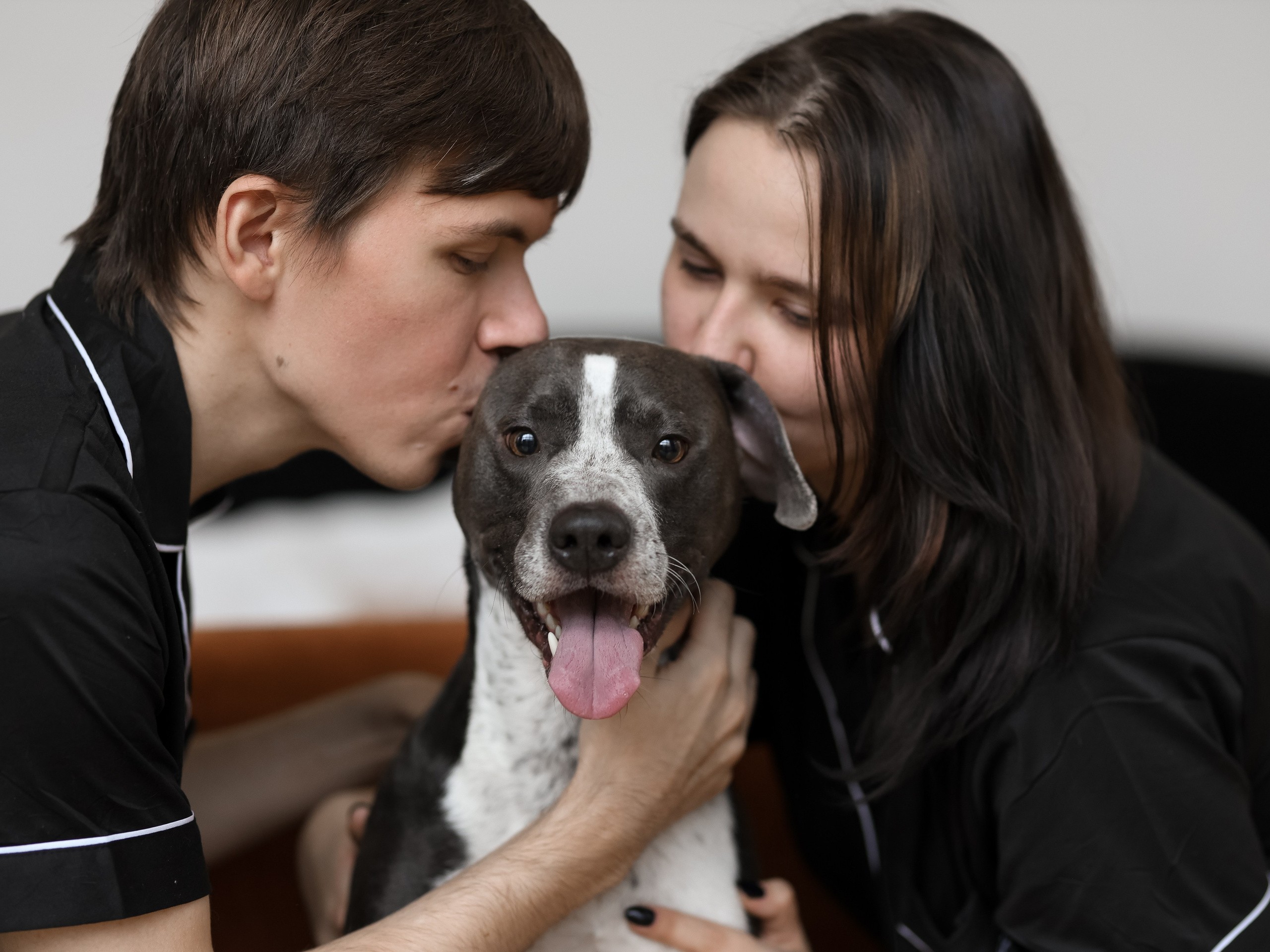 Тортик Даша и Никита. Фотограф-анималист в Москве Кириллова Татьяна