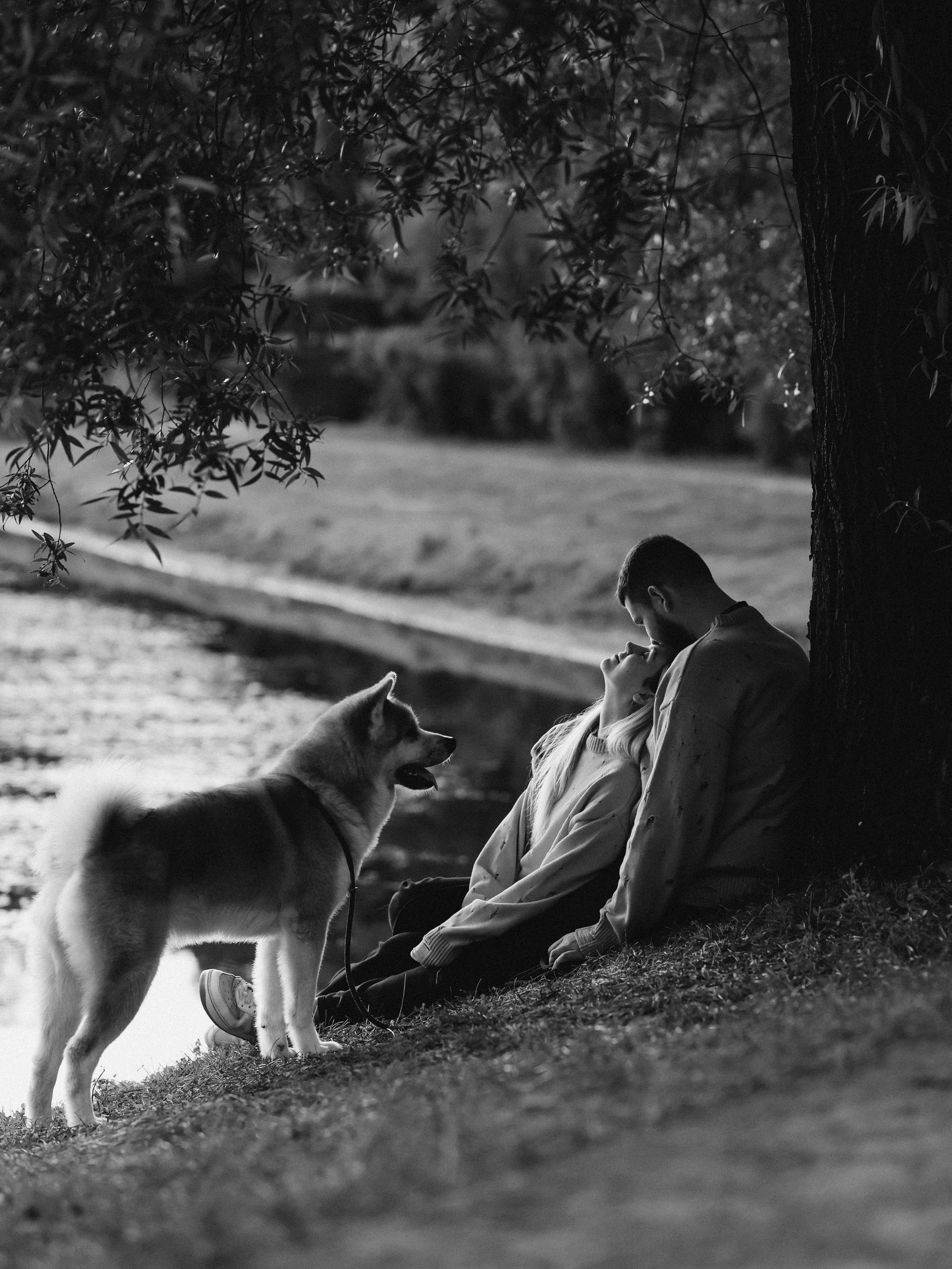 Гранд, Вика и Степан. Фотограф-анималист в Москве Кириллова Татьяна