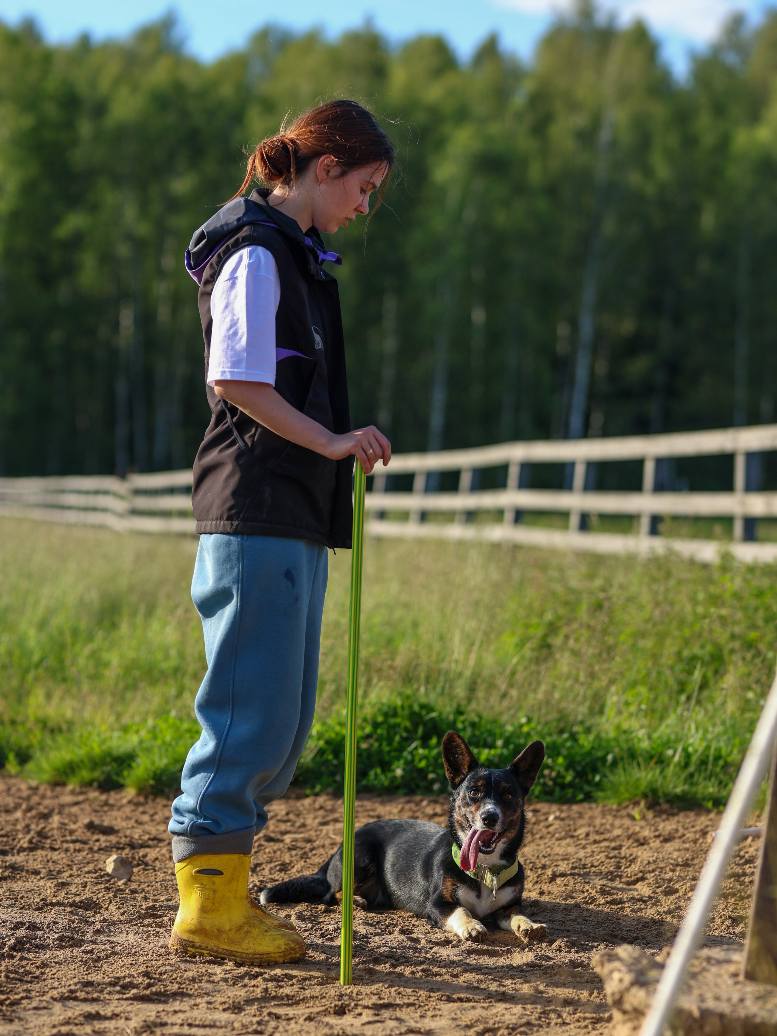 Пастьба. Фотограф-анималист в Москве Кириллова Татьяна