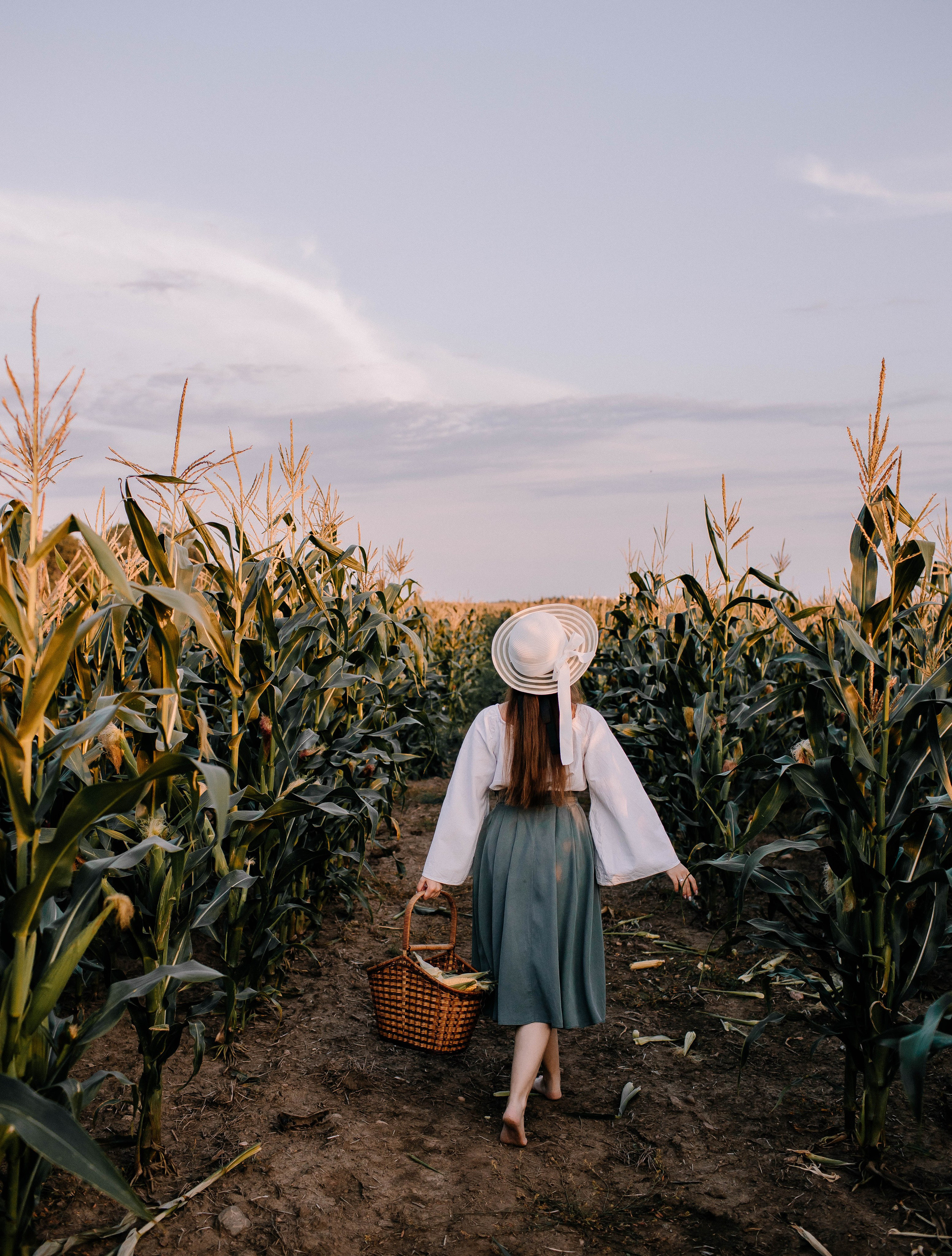 Кукурузные истории. Фотосессии Фотодни Псков СПб