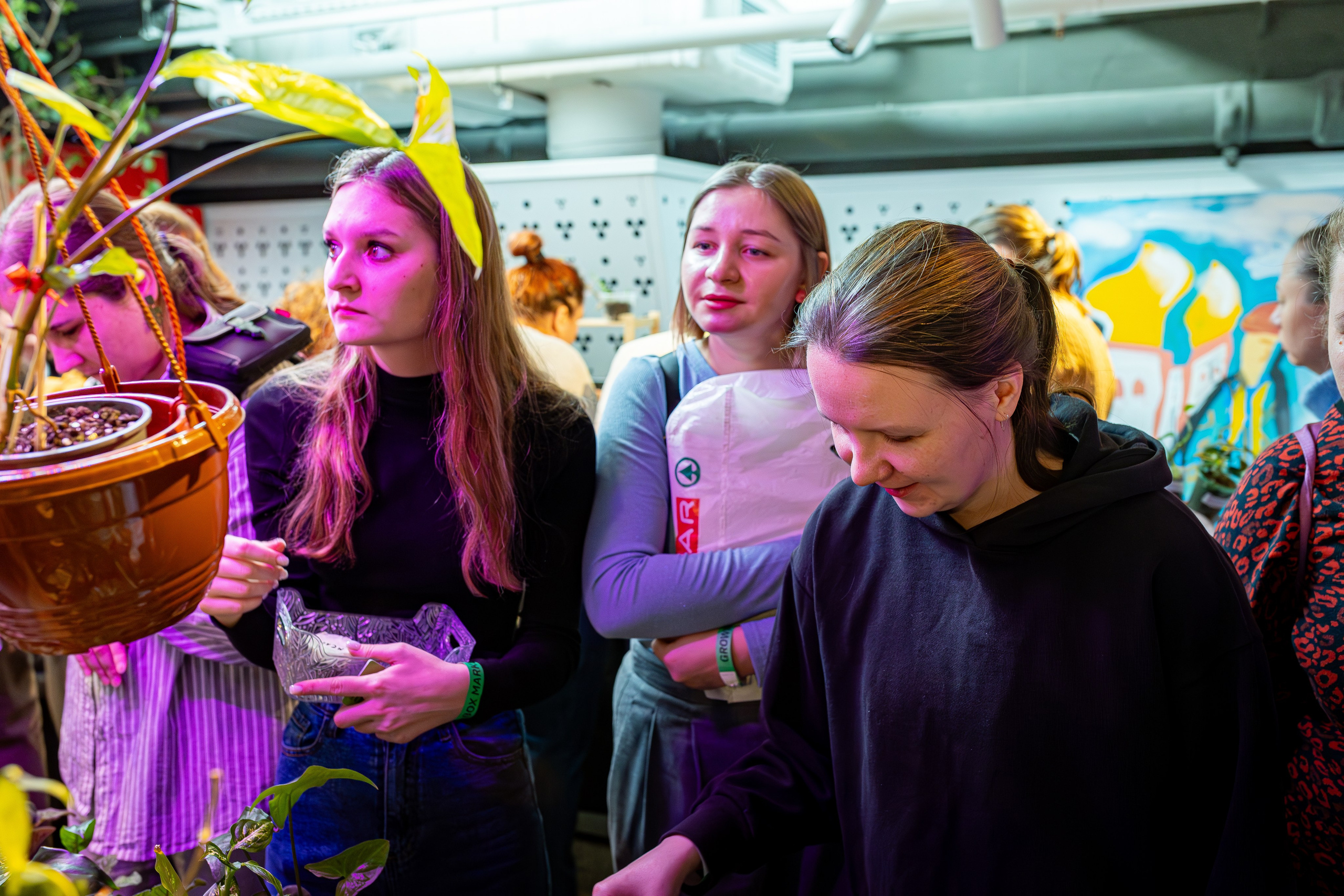 Growbox 1–2 марта. Александра Куликова фотограф, Москва