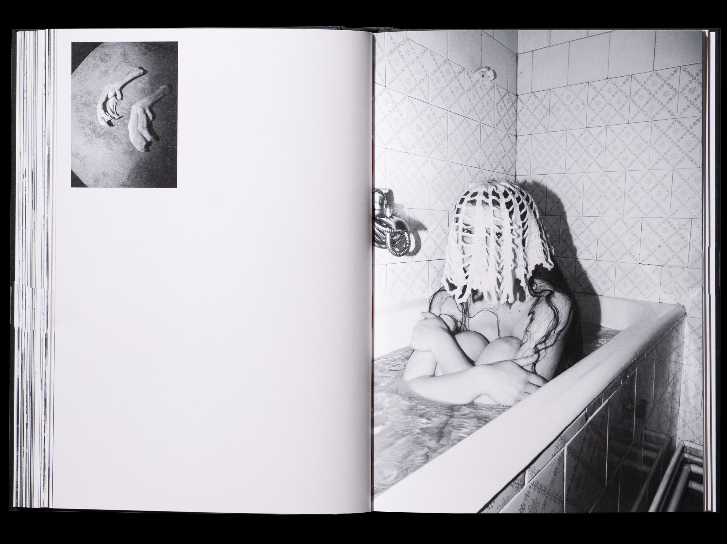 ОБЗОР АКТУАЛЬНЫХ ФОТОКНИГ: Porcelain and Wool. Самоорганизация Низина