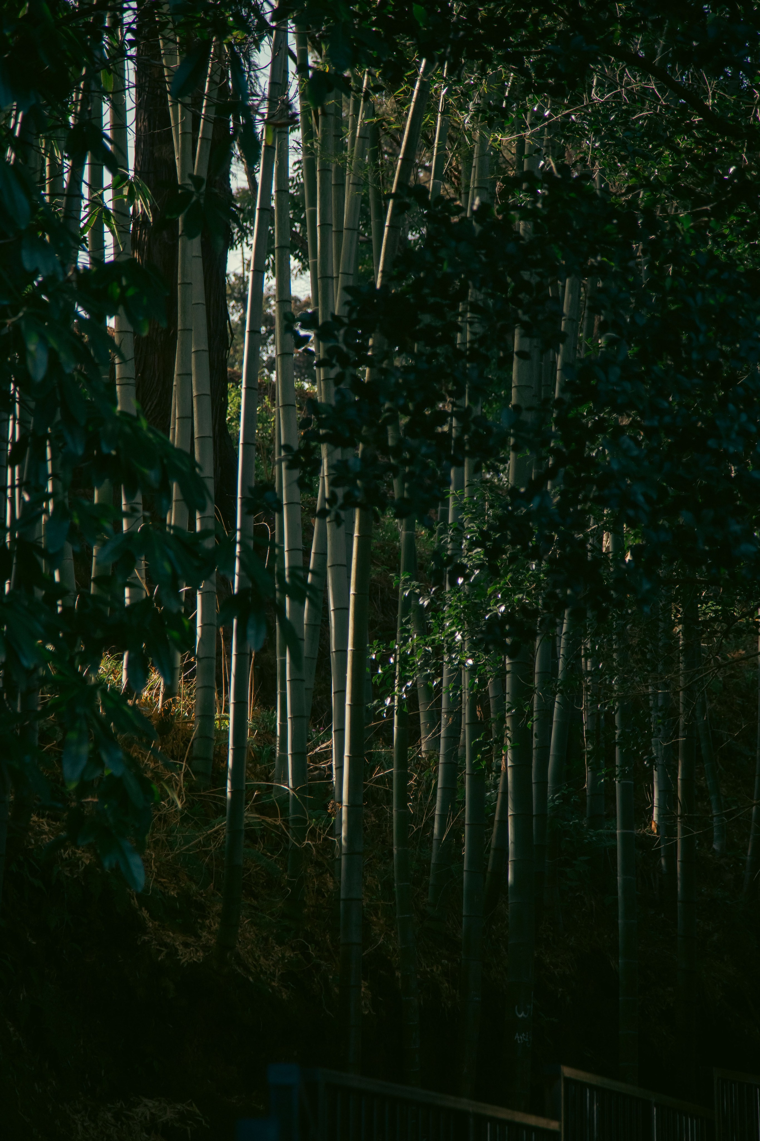 Batumi. Dmitriy [KCCC] is a pretty cool photographer