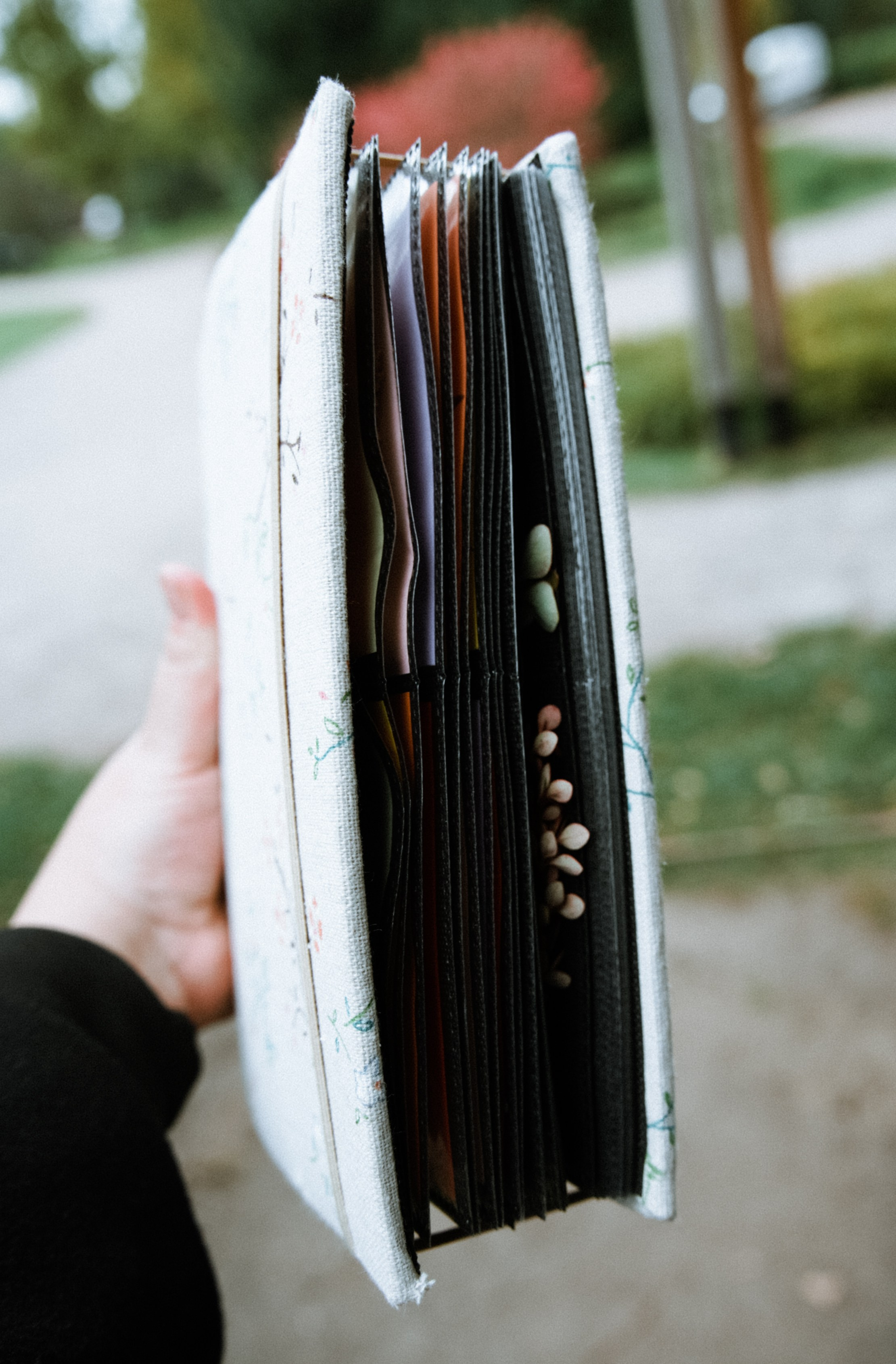 Осень 2025. Фотограф из Москвы — DASHA NOVA | Авторская фотография в разных жанрах