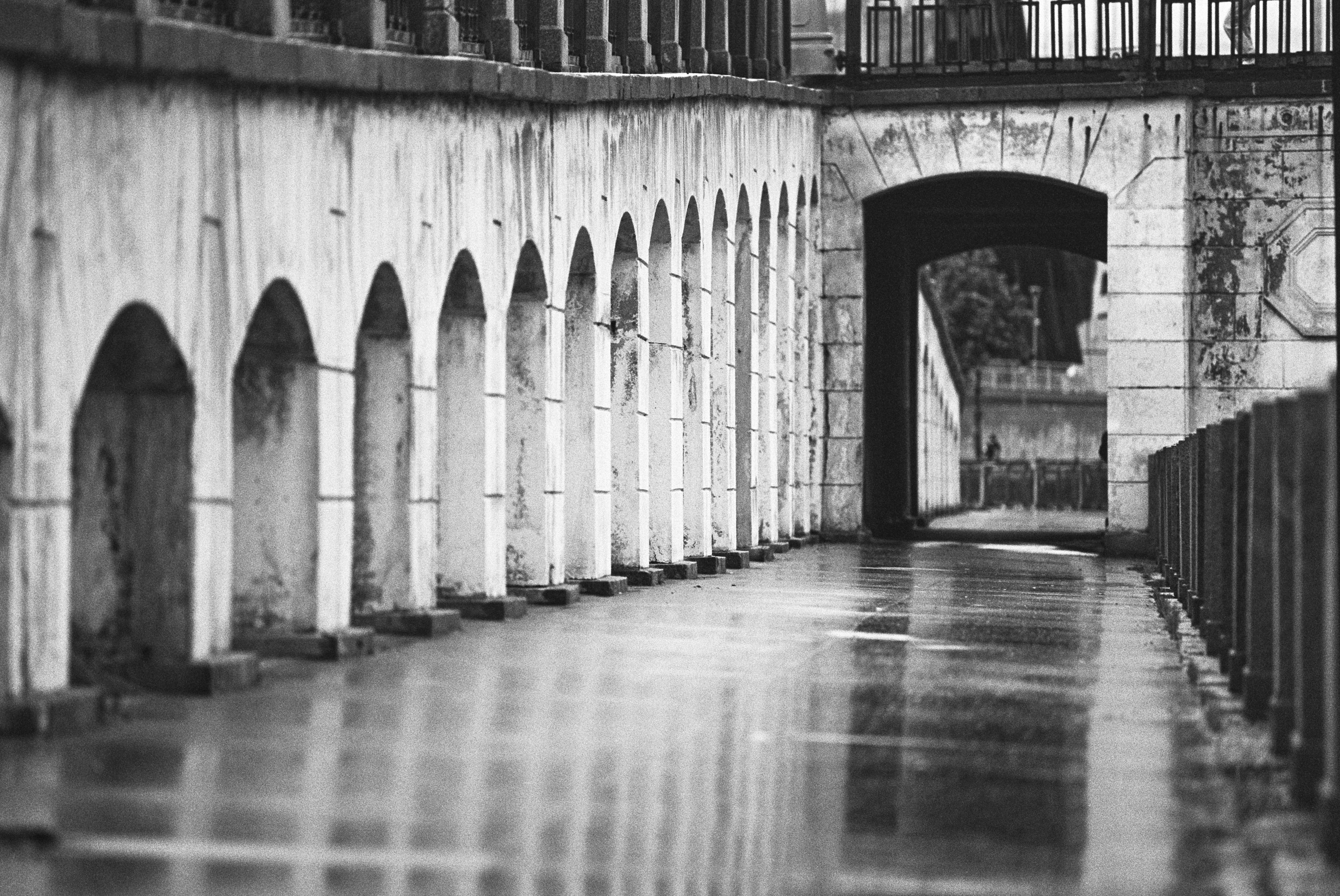 Фотосессии на пленочный фотоаппарат Nikon F6