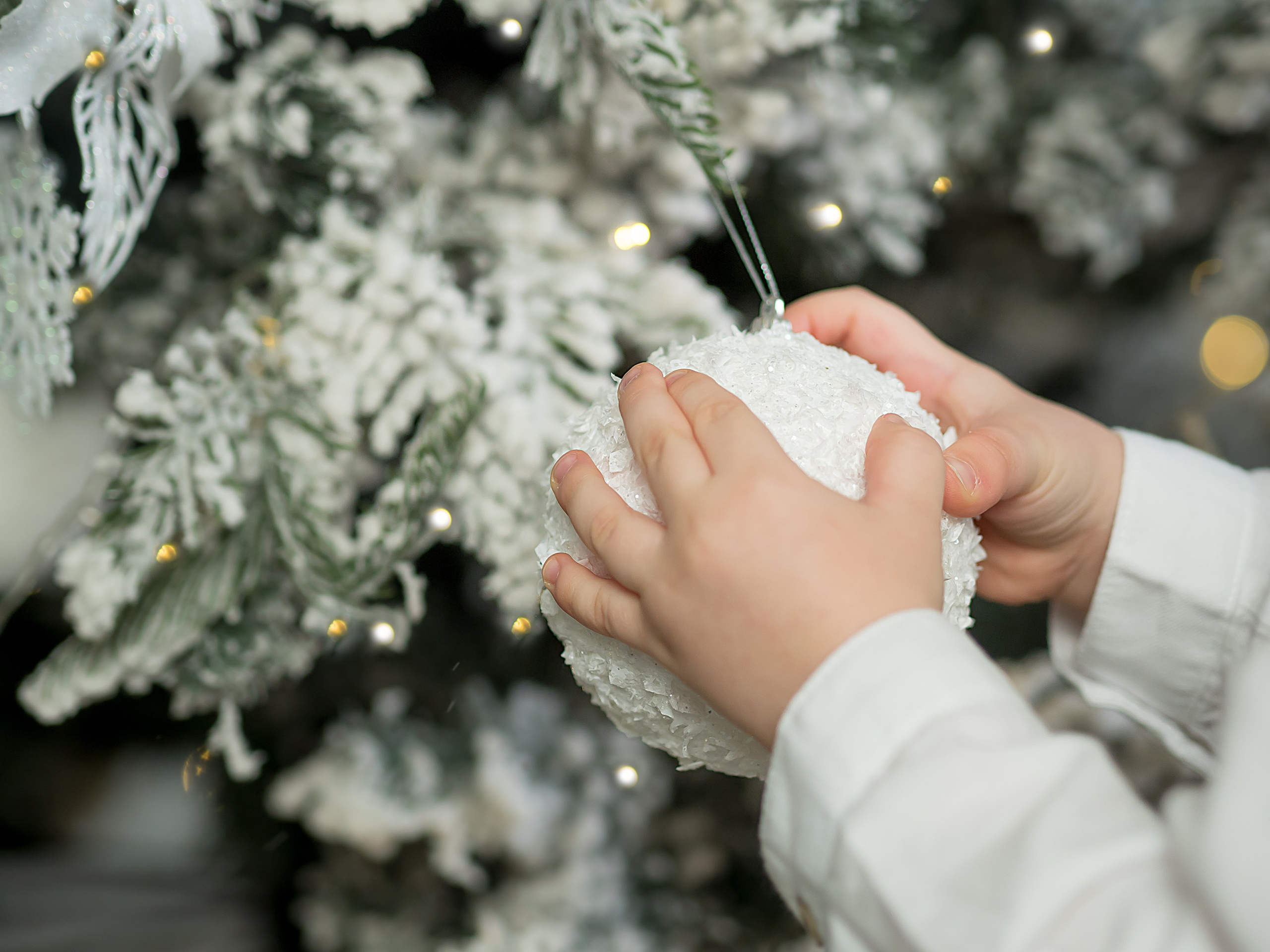 Саша и его семья. Семейный детский фотограф в Красноярске Скачкова Юлия