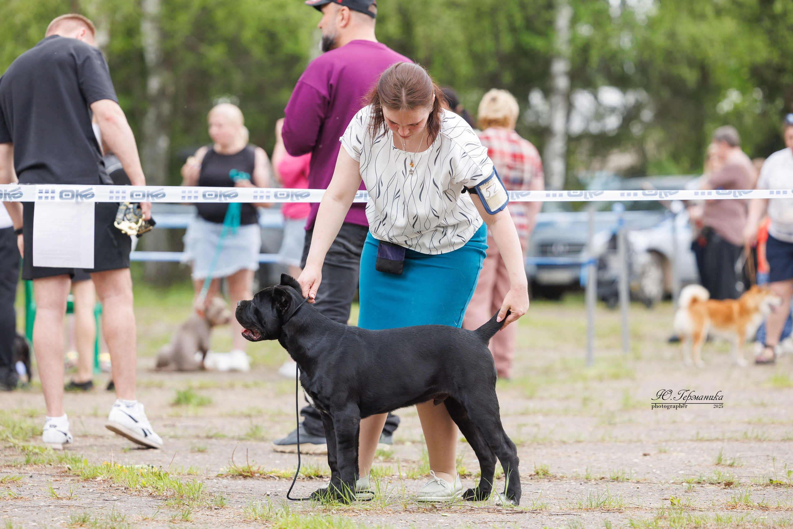 Тверь 24.05.2025. Фотограф-анималист Юлия Германика