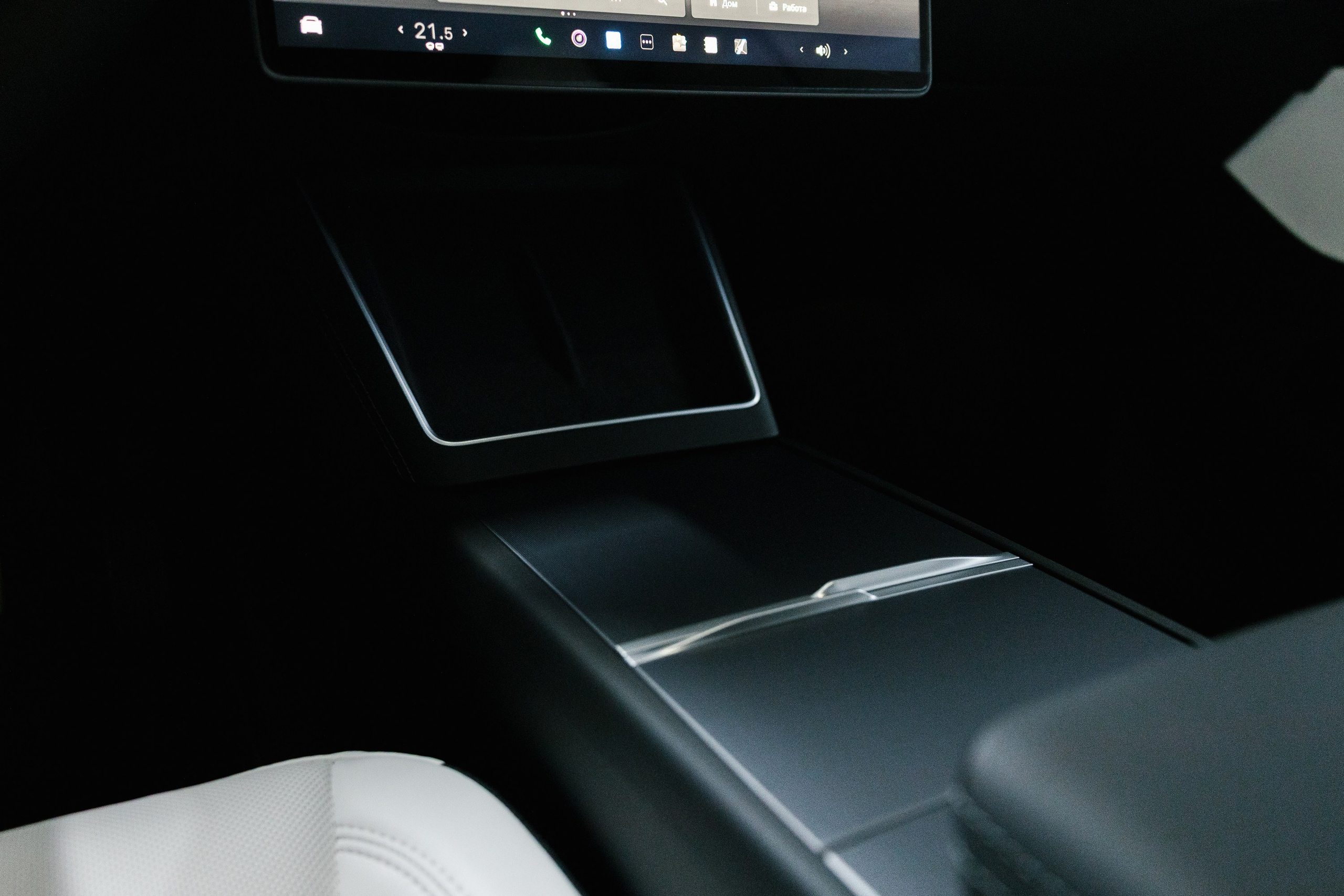 Model Y+. Эстетика Sveta