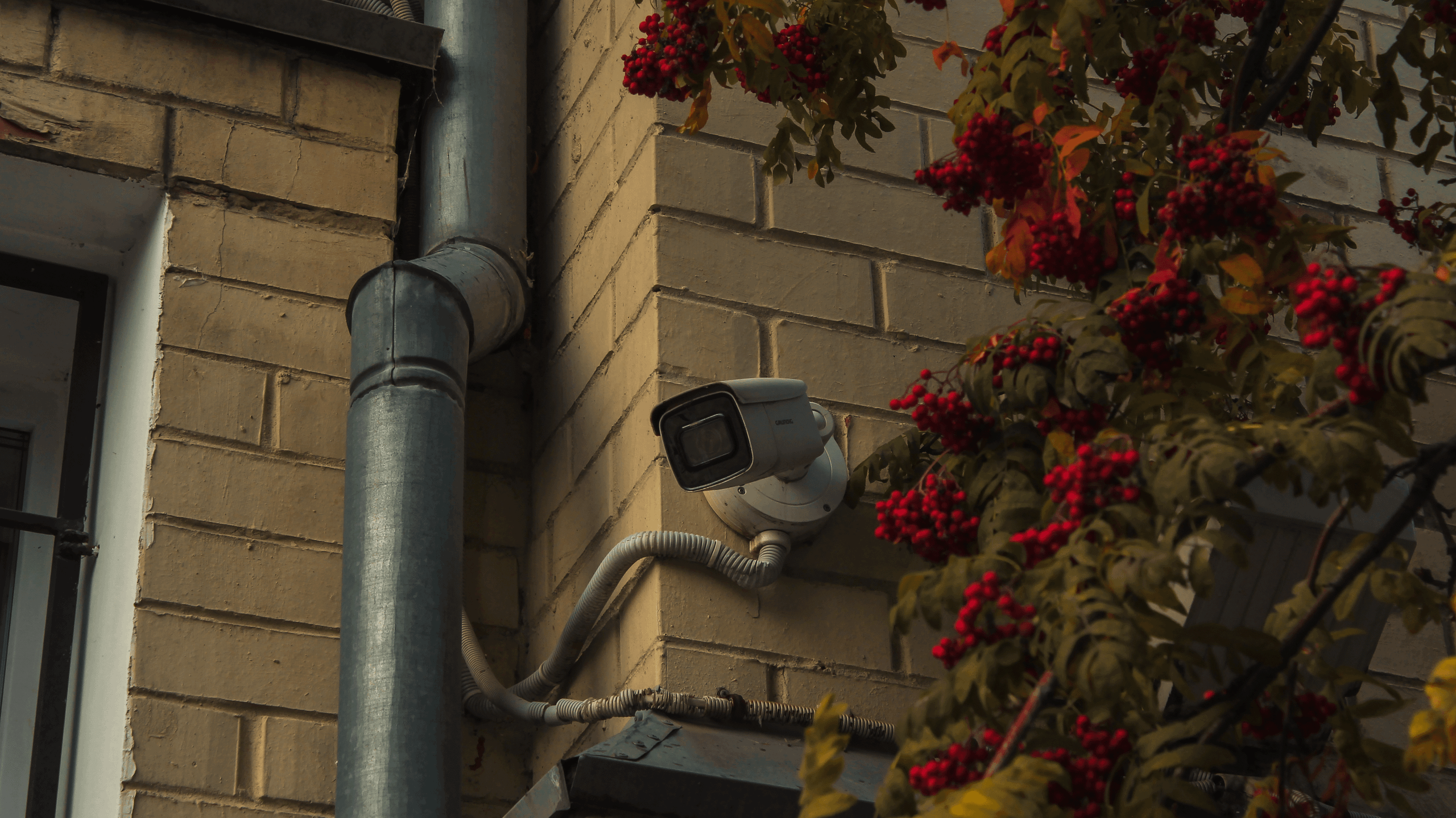 TMN autumn '24. Фотограф/дизайнер в Екатеринбурге Хитрый Дмитрий