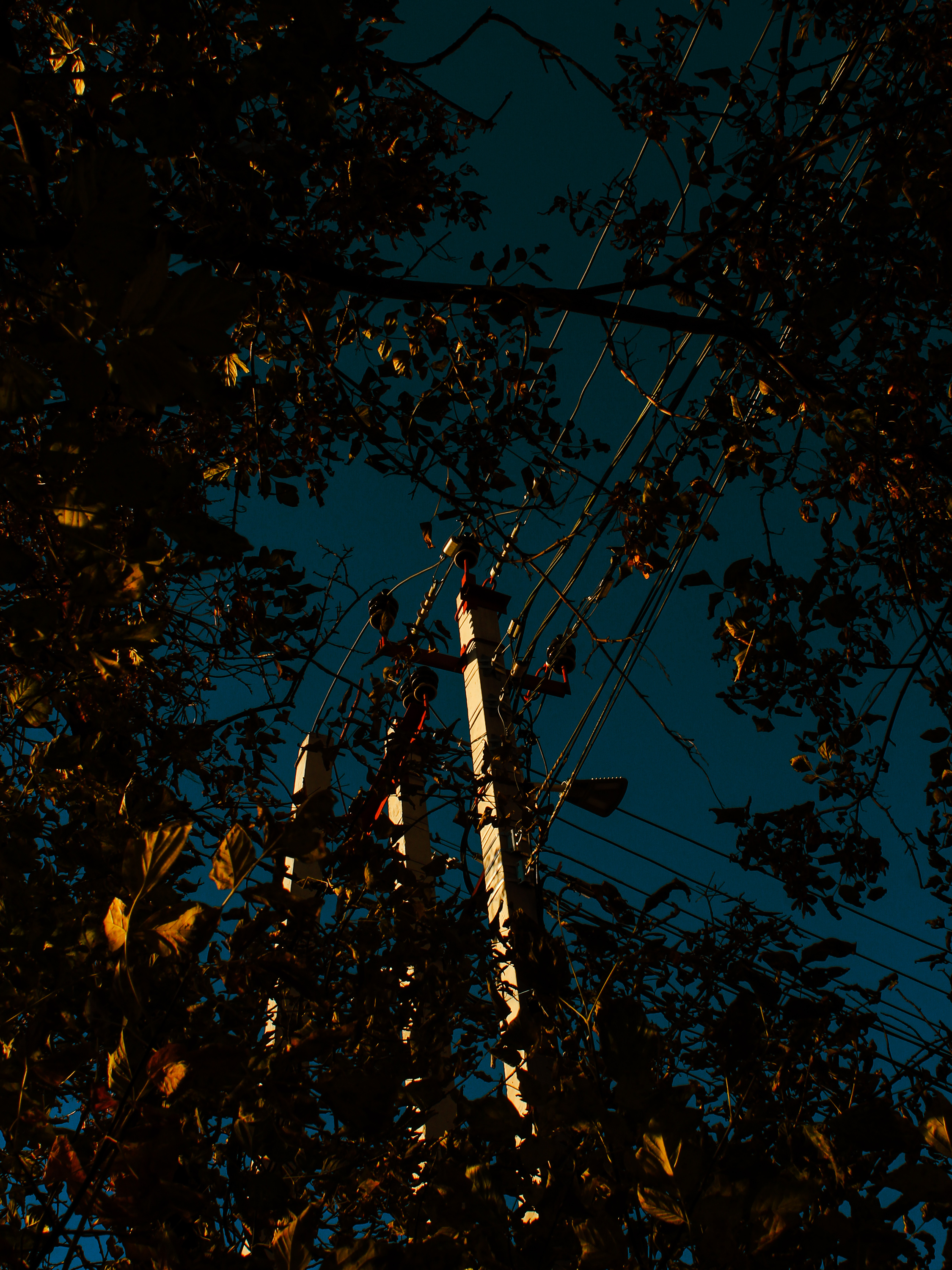 Shades of autumn. Фотограф/дизайнер в Екатеринбурге Хитрый Дмитрий