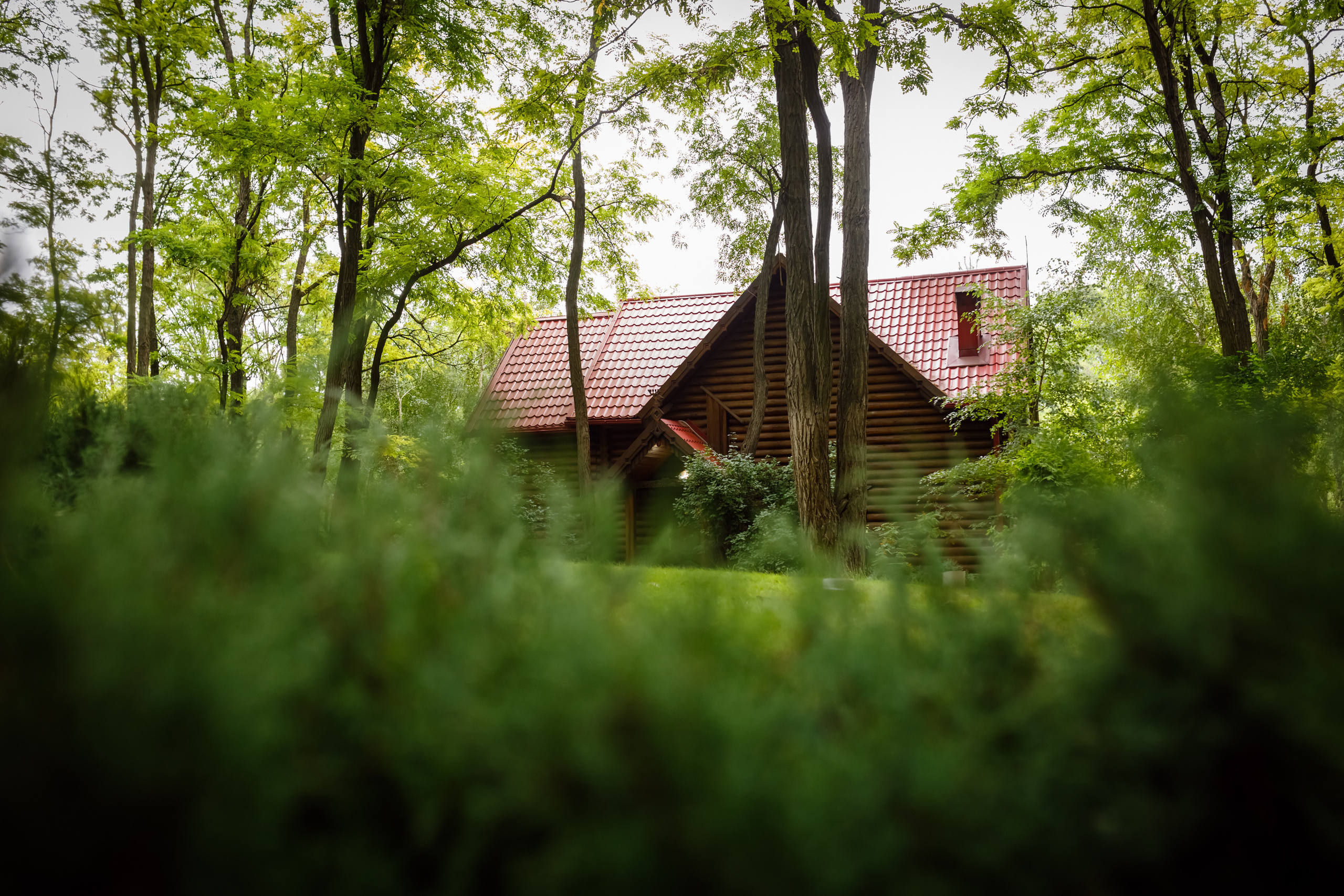 Свадебный фотограф в Ростове-на-Дону Градинарова Анастасия
