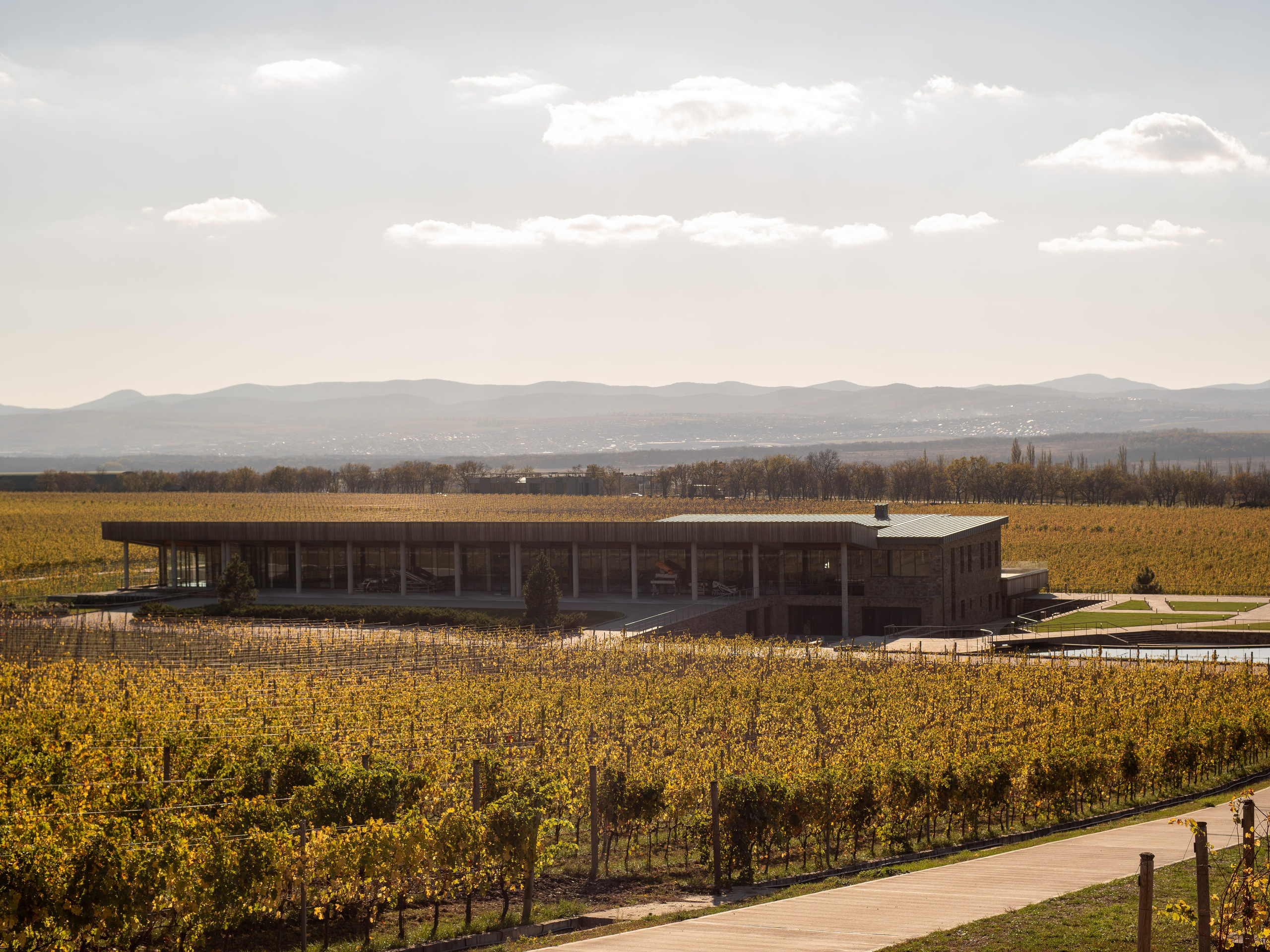 Литературная мастерская с Ольгой Шутовой в «Винотеррии». Репортажный фотограф в Красной Поляне и Сочи Павлюченко Екатерина