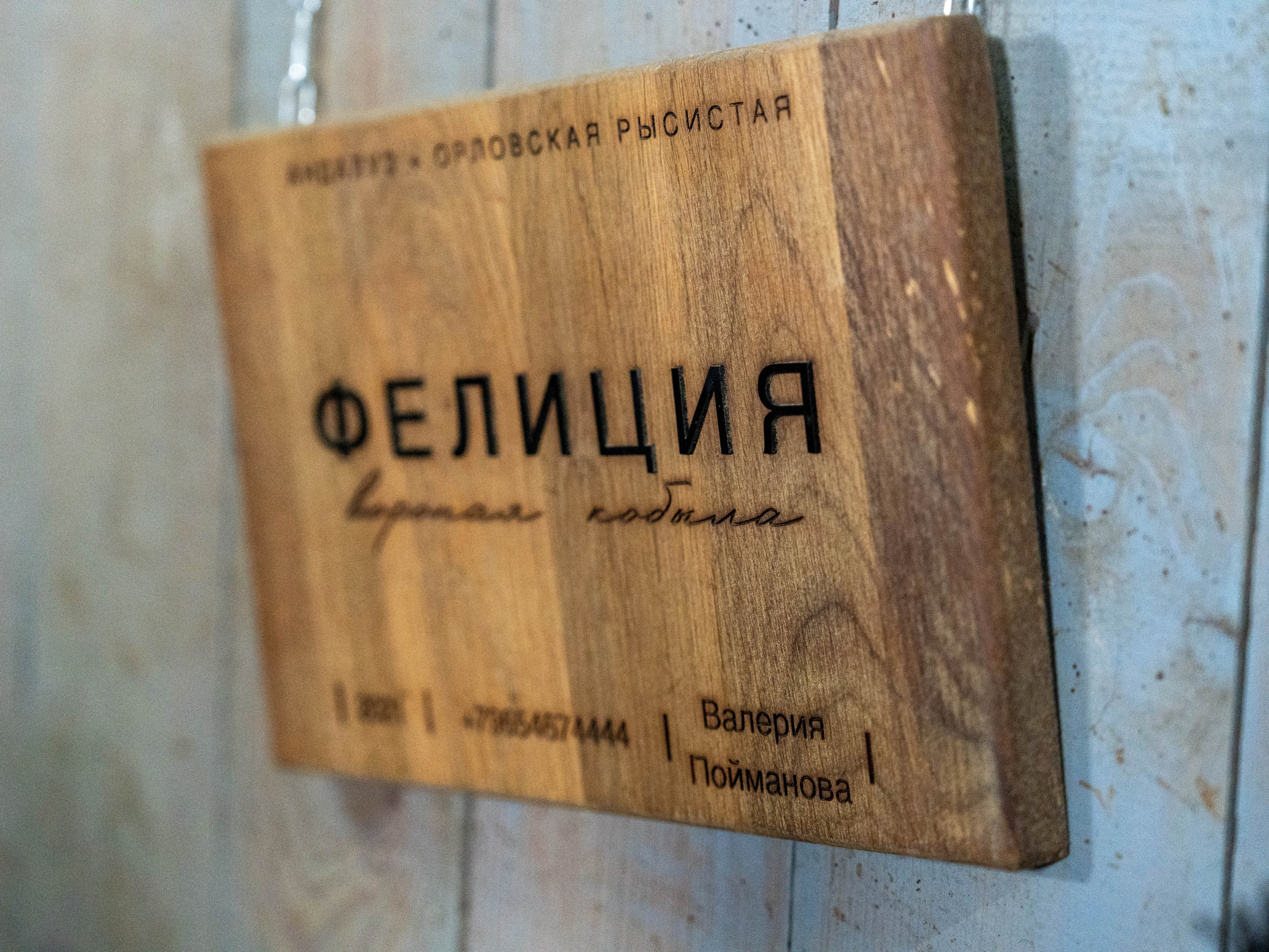 MICE мероприятие на ферме Экзархо. Репортажный фотограф в Красной Поляне и Сочи Павлюченко Екатерина