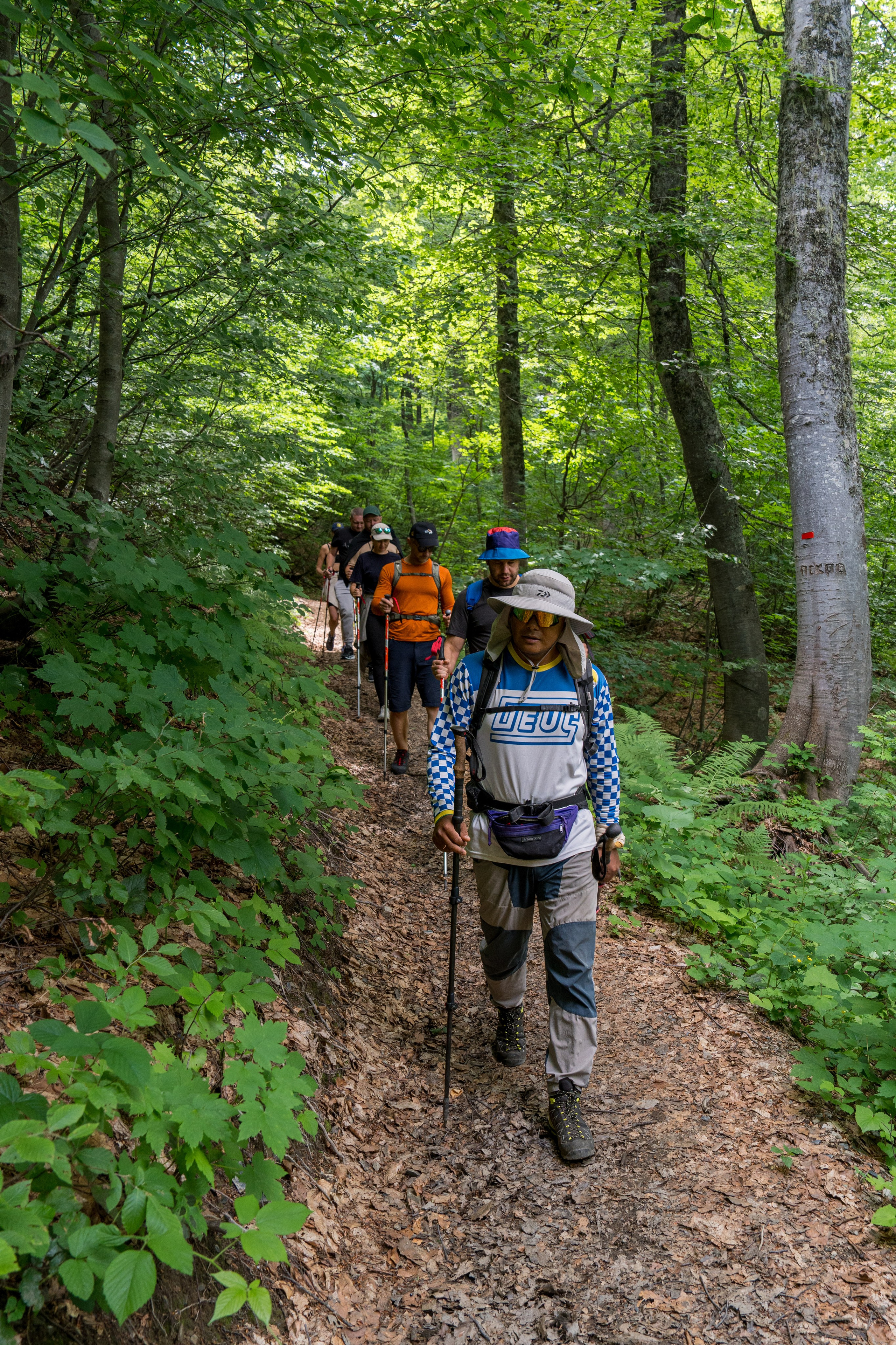 MICE мероприятие для компании «Доставка морем»: хайкинг к Ачипсинским водопадам. Репортажный фотограф в Красной Поляне и Сочи Павлюченко Екатерина