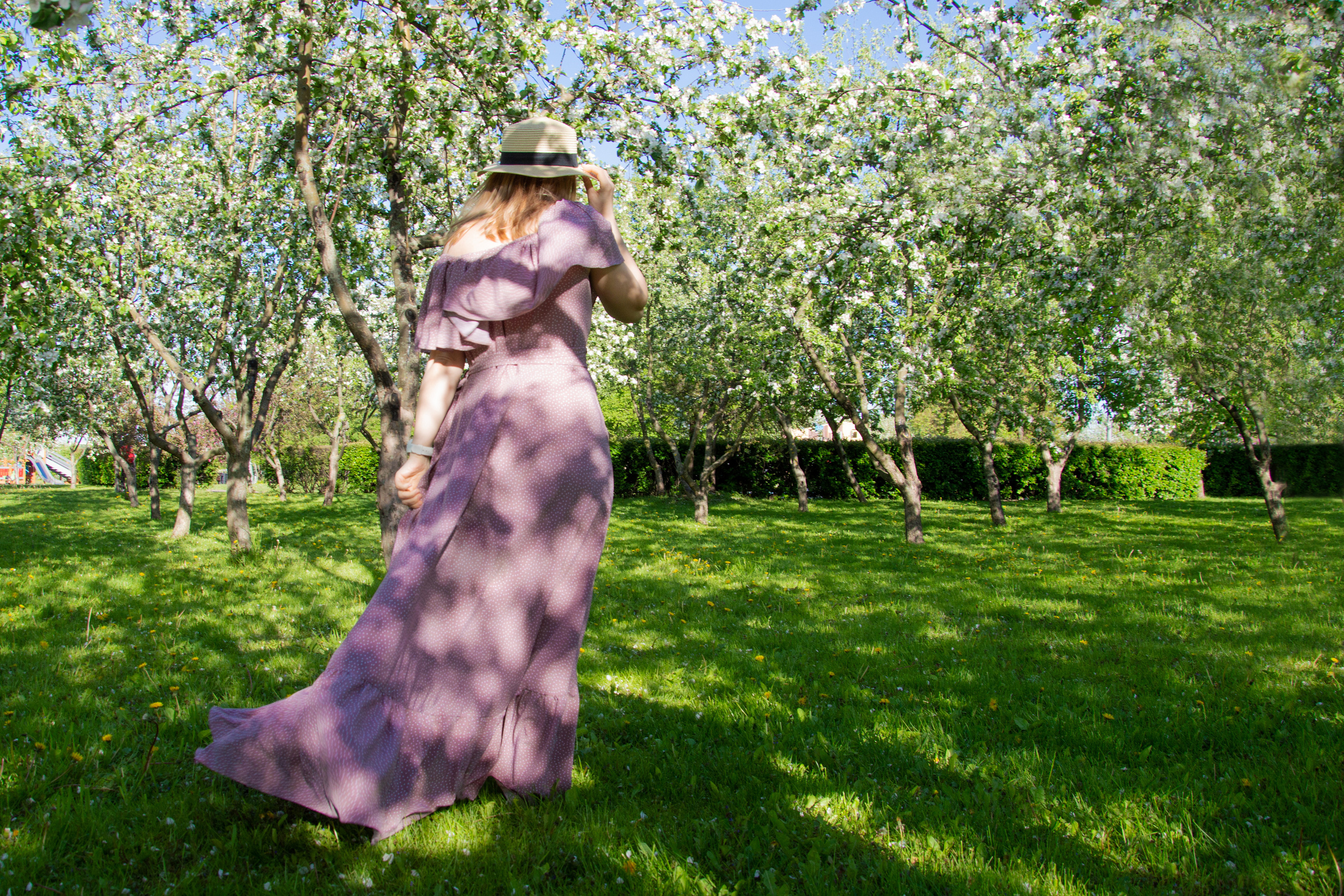 Прогулка в яблоневом саду