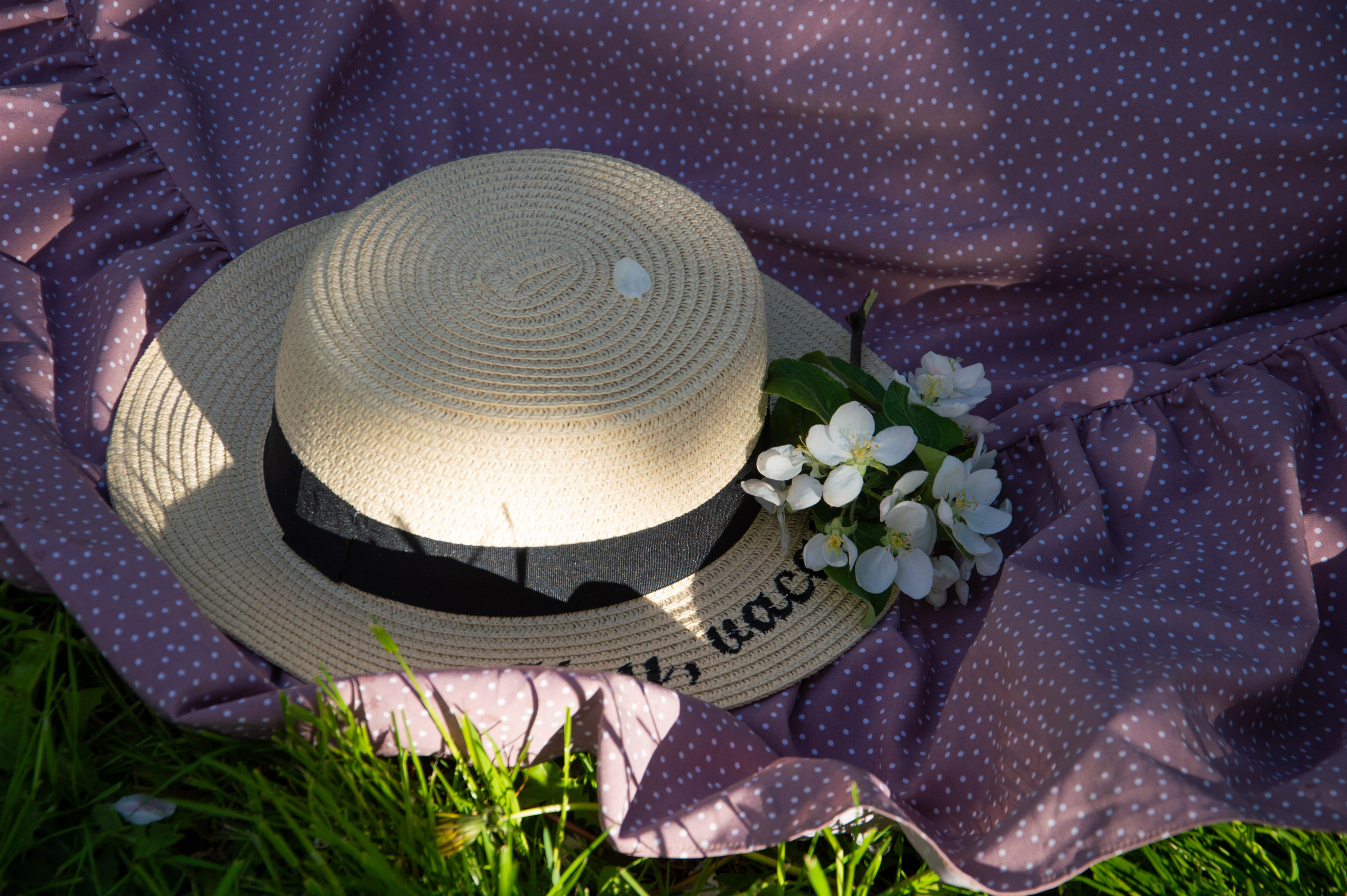 Прогулка в яблоневом саду